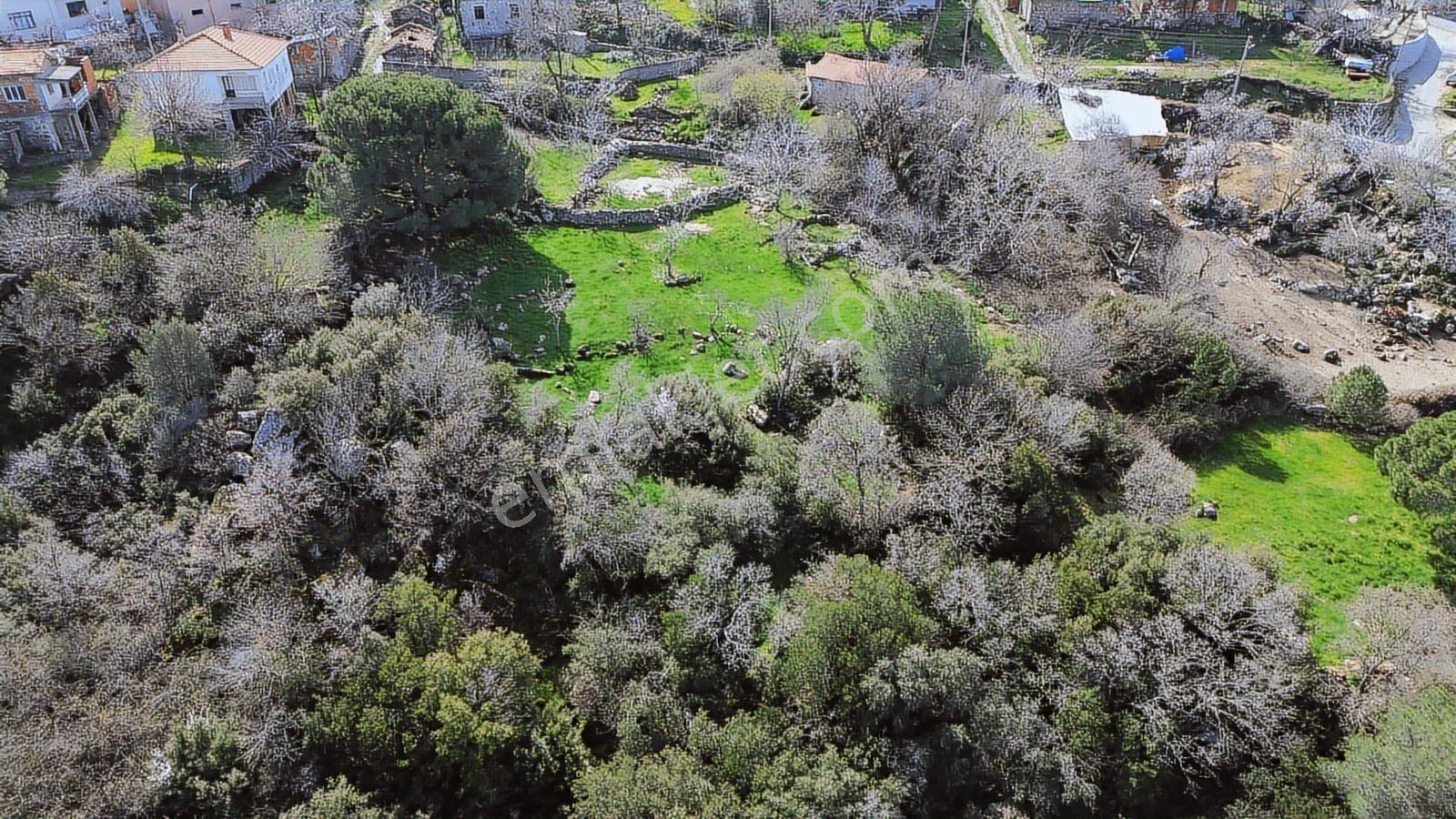 Bergama Kozak Aşağıbey'de Satılık 4620 M2 Fıstıklık - Görsel 3