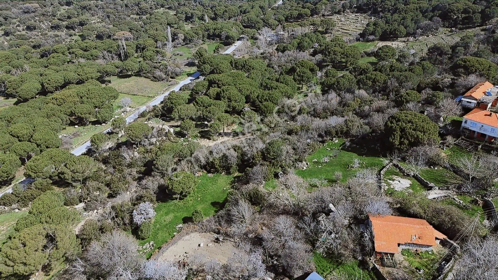Bergama Kozak Aşağıbey'de Satılık 4620 M2 Fıstıklık - Görsel 29