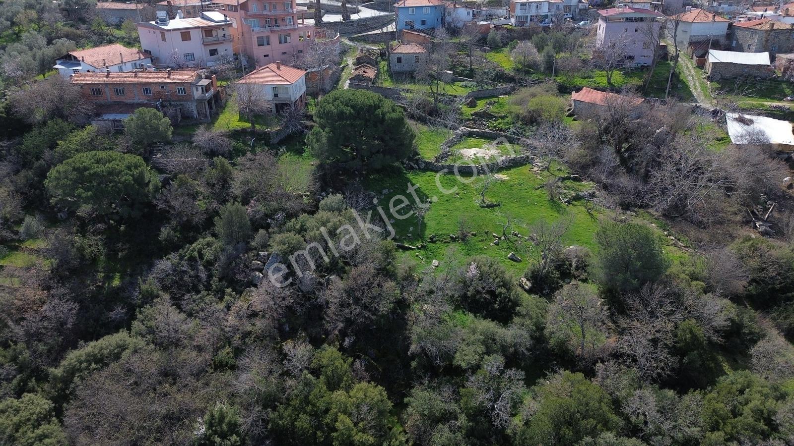 Bergama Kozak Aşağıbey'de Satılık 4620 M2 Fıstıklık - Görsel 33
