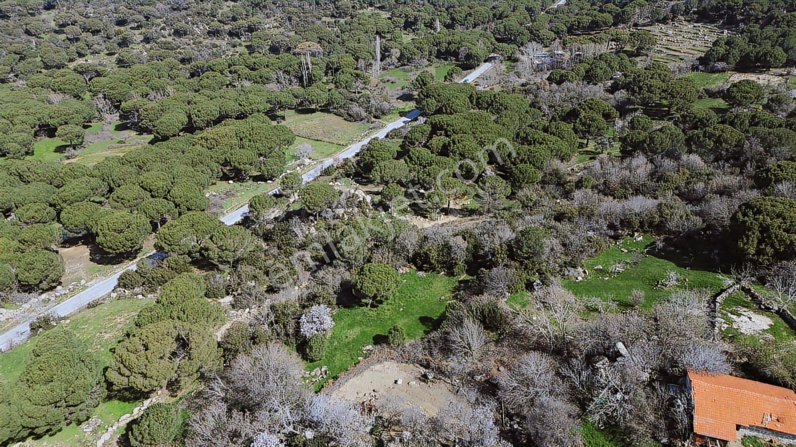 Bergama Kozak Aşağıbey'de Satılık 4620 M2 Fıstıklık - Görsel 35