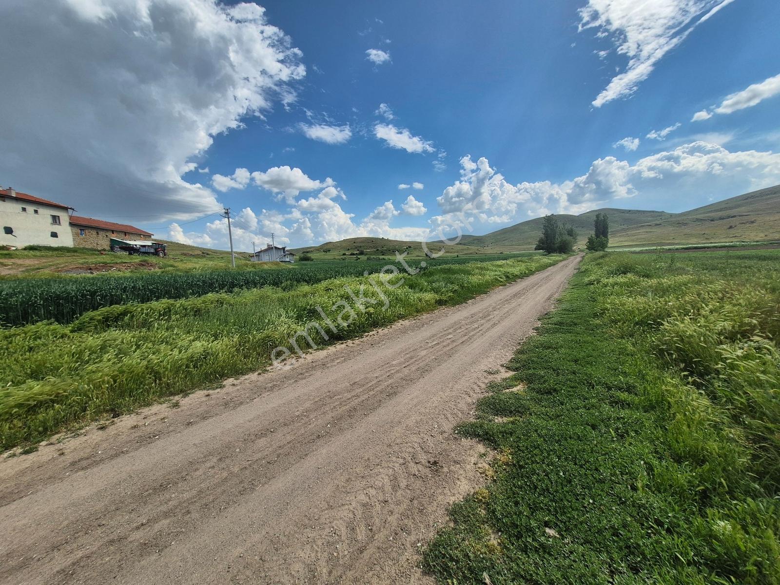 İlbey // Şuhut Mahmut Köyünde 840-776 Ve 1.084 M² Üç Adet Arsa - Görsel 22