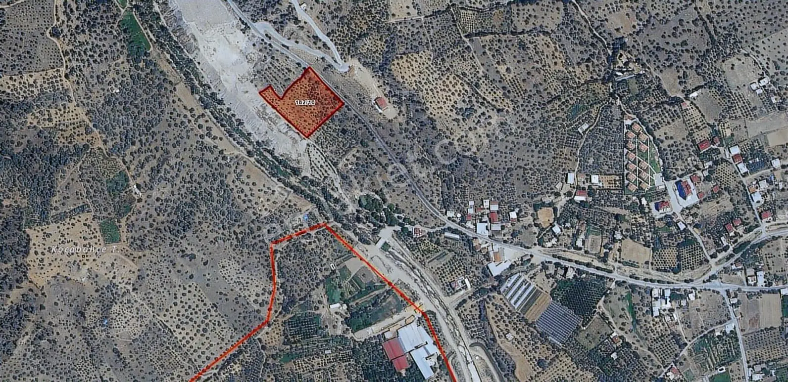 Nazilli Ocaklı Mahallesinde 9.5 Dönüm Satılık Zeytinlik Tarla - Görsel 3