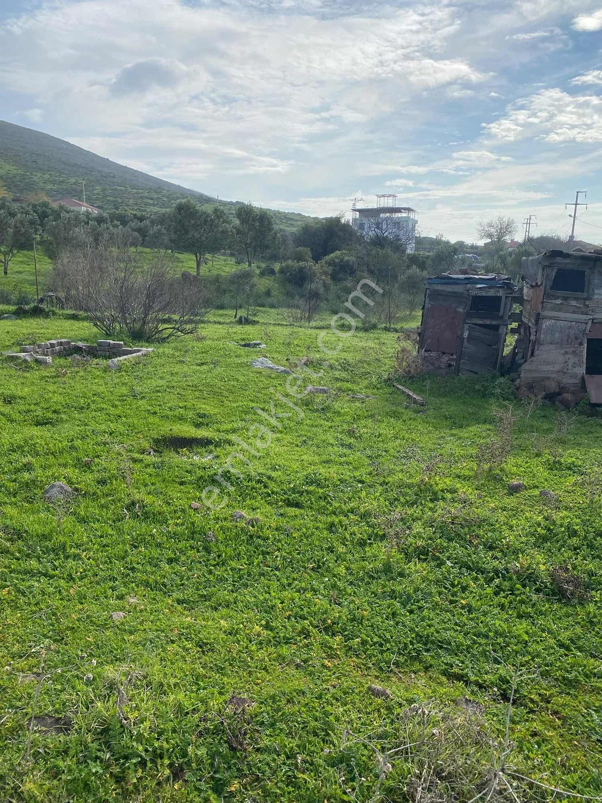 Turpa Özka 355 Aliağa Şehit Kemal 371 M² Satılık Arsa - Görsel 5