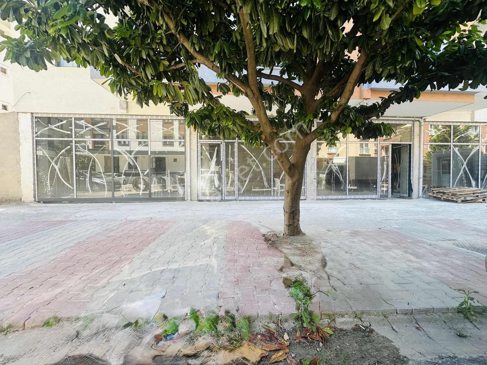 Sancaktepe İnönü Mah. Cadde Üzeri 500 M2 Kiralık Depolu Dükkan - Görsel 20