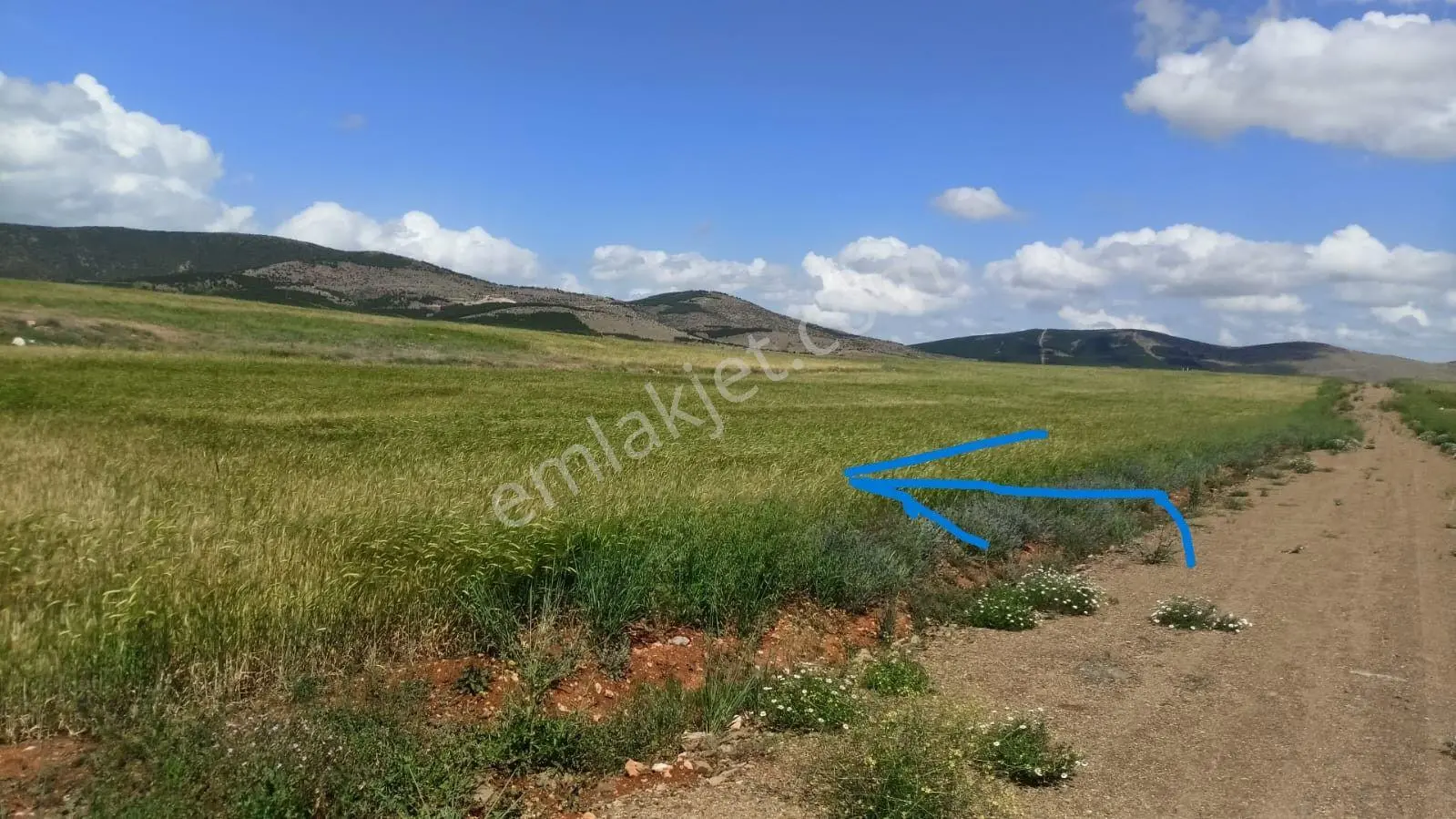  Satılık, Sulak, Tarla ,konya/ Hüyük / İmrenler Mahallesi