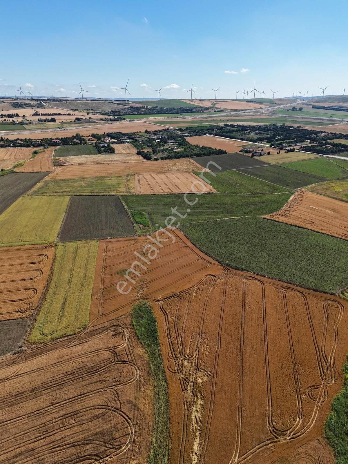 Silivri Yeni Mahalle'de 1.450 M² Satılık Hisseli Tarla - Görsel 19