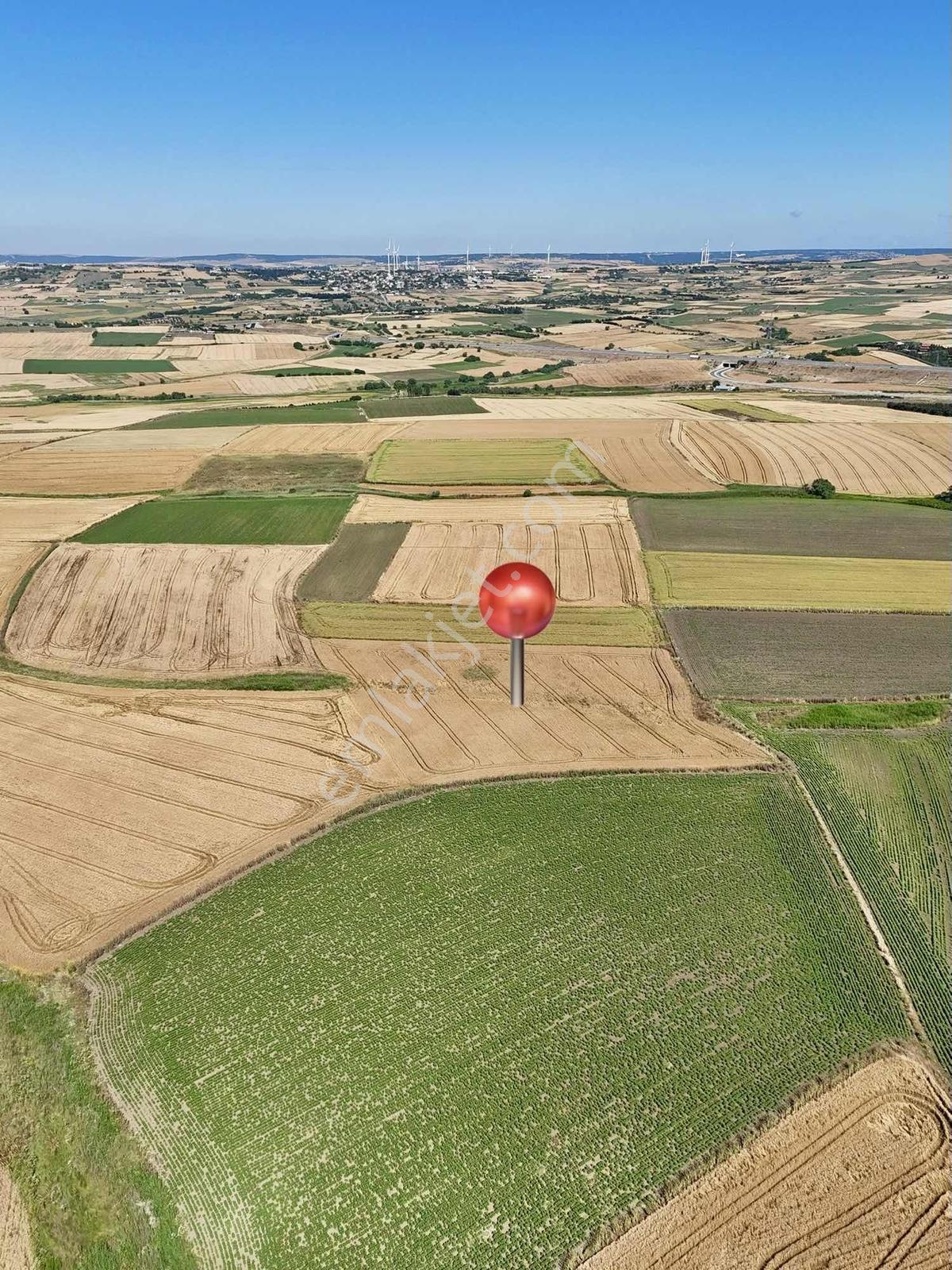 Silivri Yeni Mahalle'de 1.450 M² Satılık Hisseli Tarla - Görsel 12