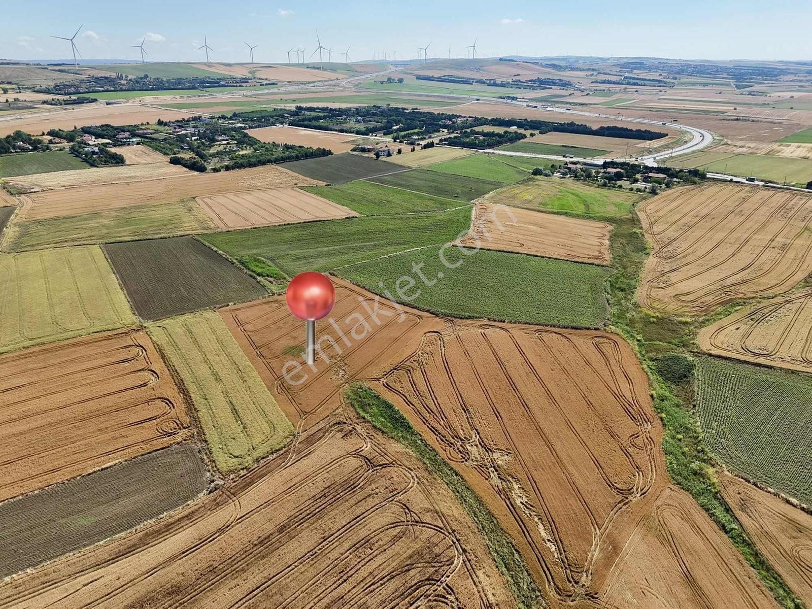 Silivri Yeni Mahalle'de 1.450 M² Satılık Hisseli Tarla