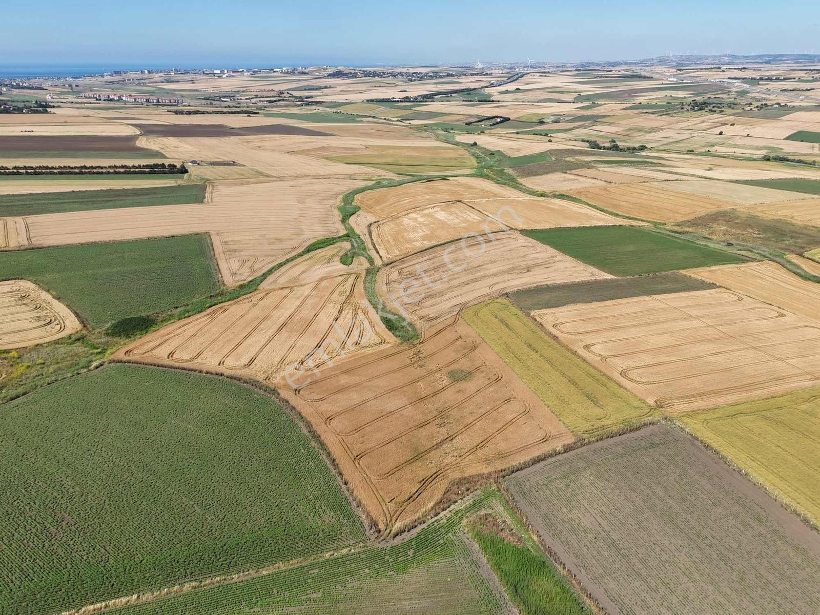 Silivri Yeni Mahalle'de 1.450 M² Satılık Hisseli Tarla - Görsel 13