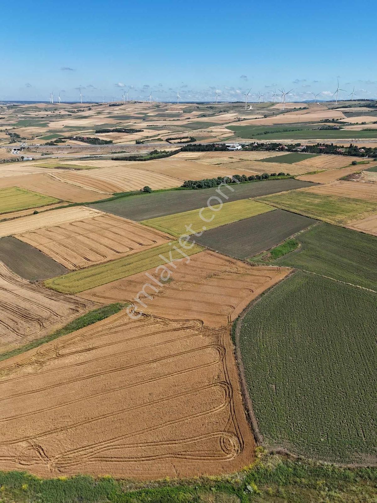 Silivri Yeni Mahalle'de 1.450 M² Satılık Hisseli Tarla - Görsel 21