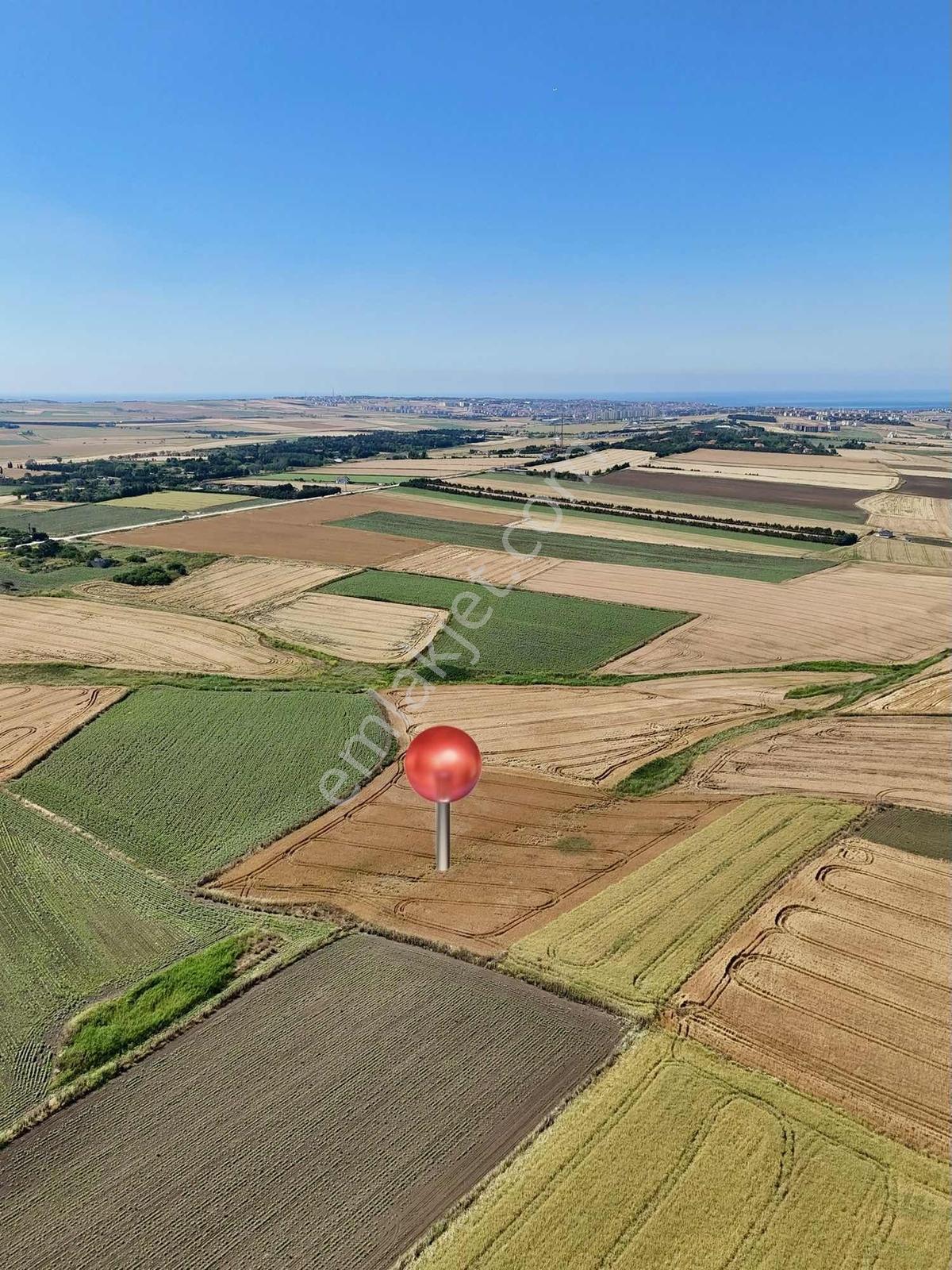 Silivri Yeni Mahalle'de 1.450 M² Satılık Hisseli Tarla - Görsel 14