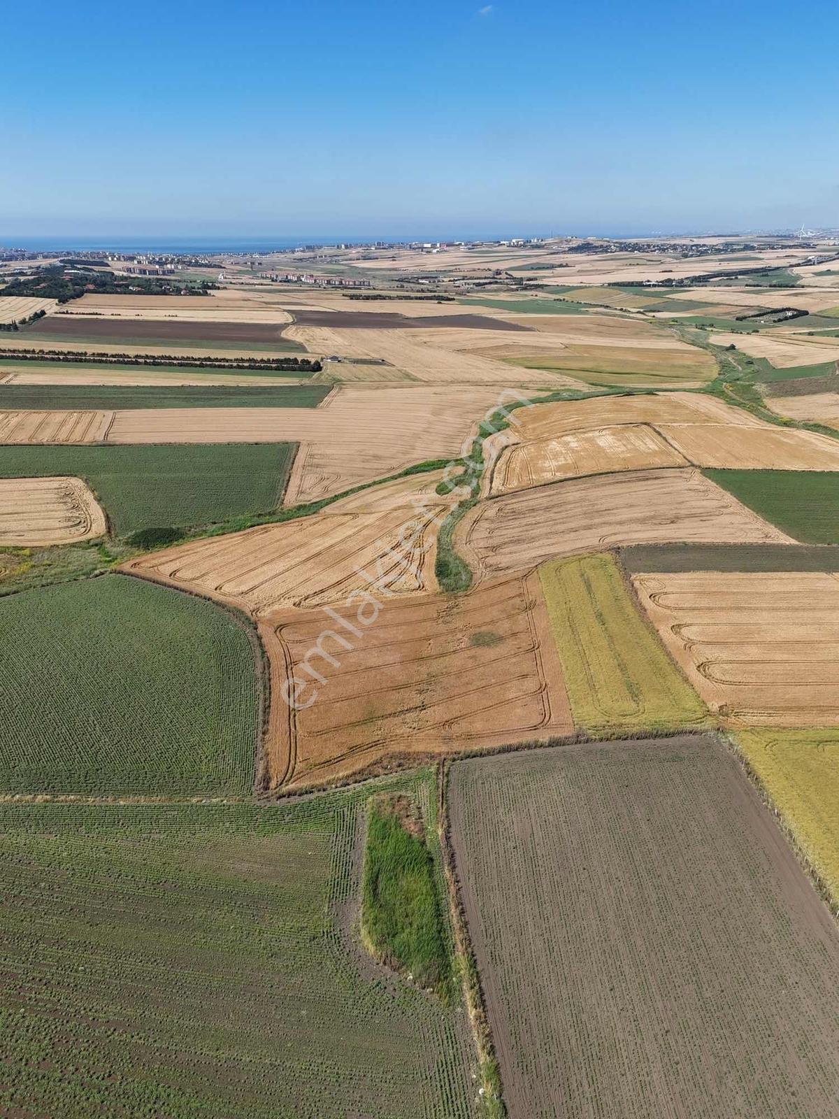Silivri Yeni Mahalle'de 1.450 M² Satılık Hisseli Tarla - Görsel 5