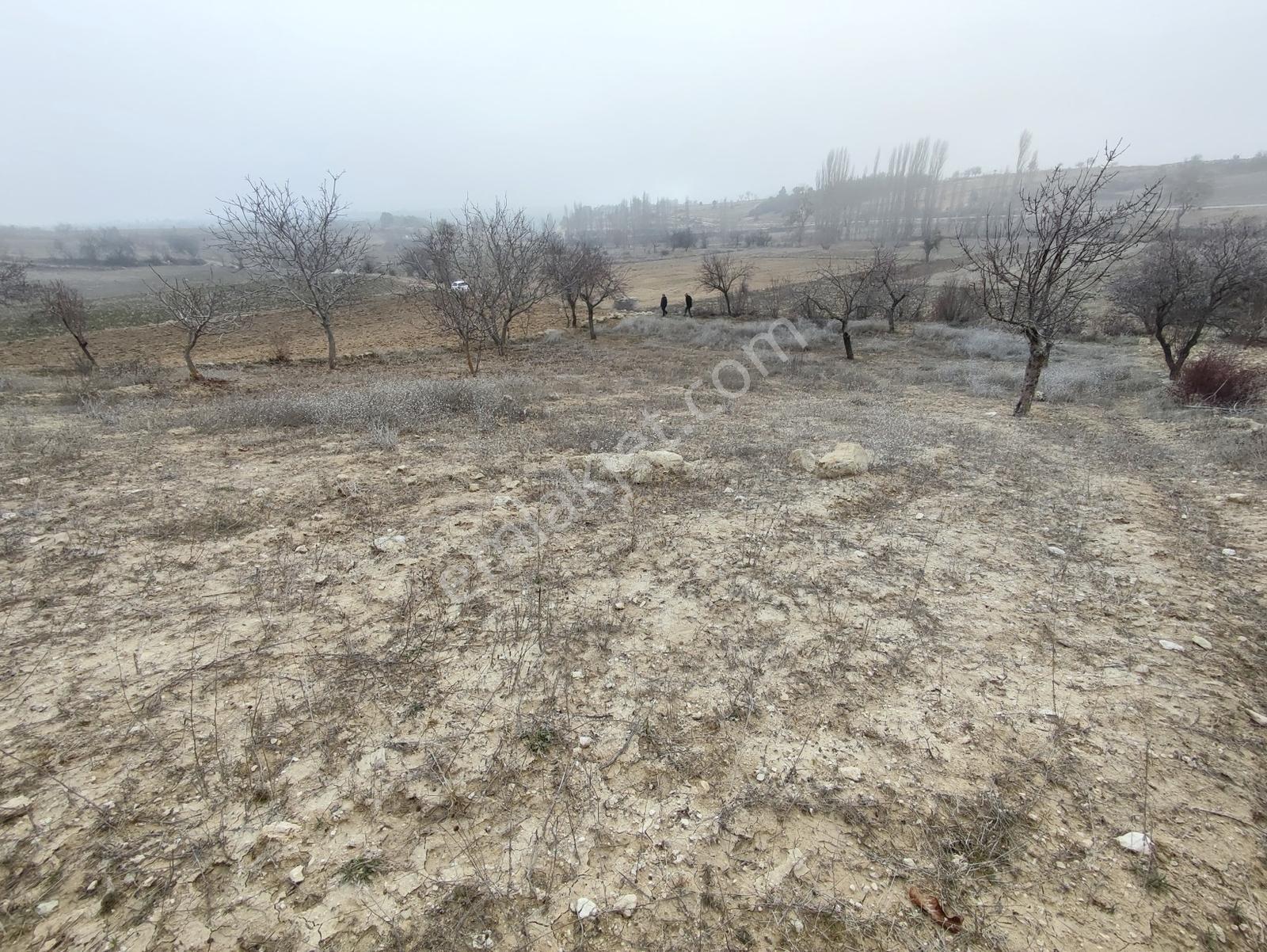 Uzunpınar Da Kadastro Yolu Açık Satılık Tarla - 1354 M² - Görsel 3