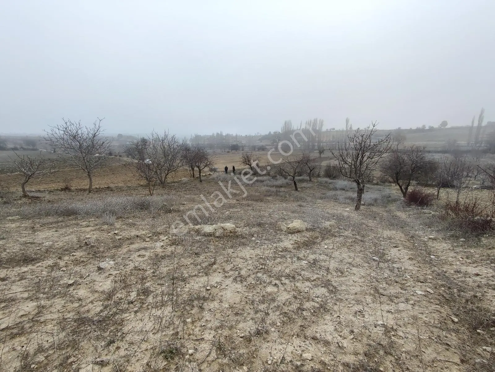 Uzunpınar Da Kadastro Yolu Açık Satılık Tarla - 1354 M² - Görsel 4