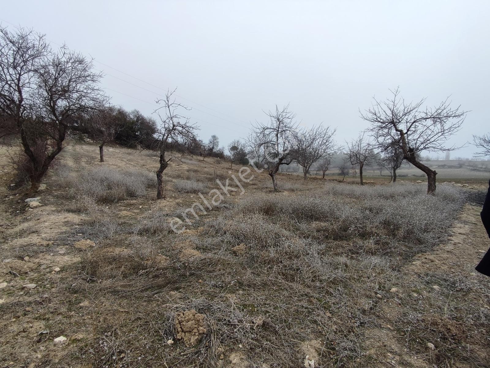 Uzunpınar Da Kadastro Yolu Açık Satılık Tarla - 1354 M² - Görsel 11