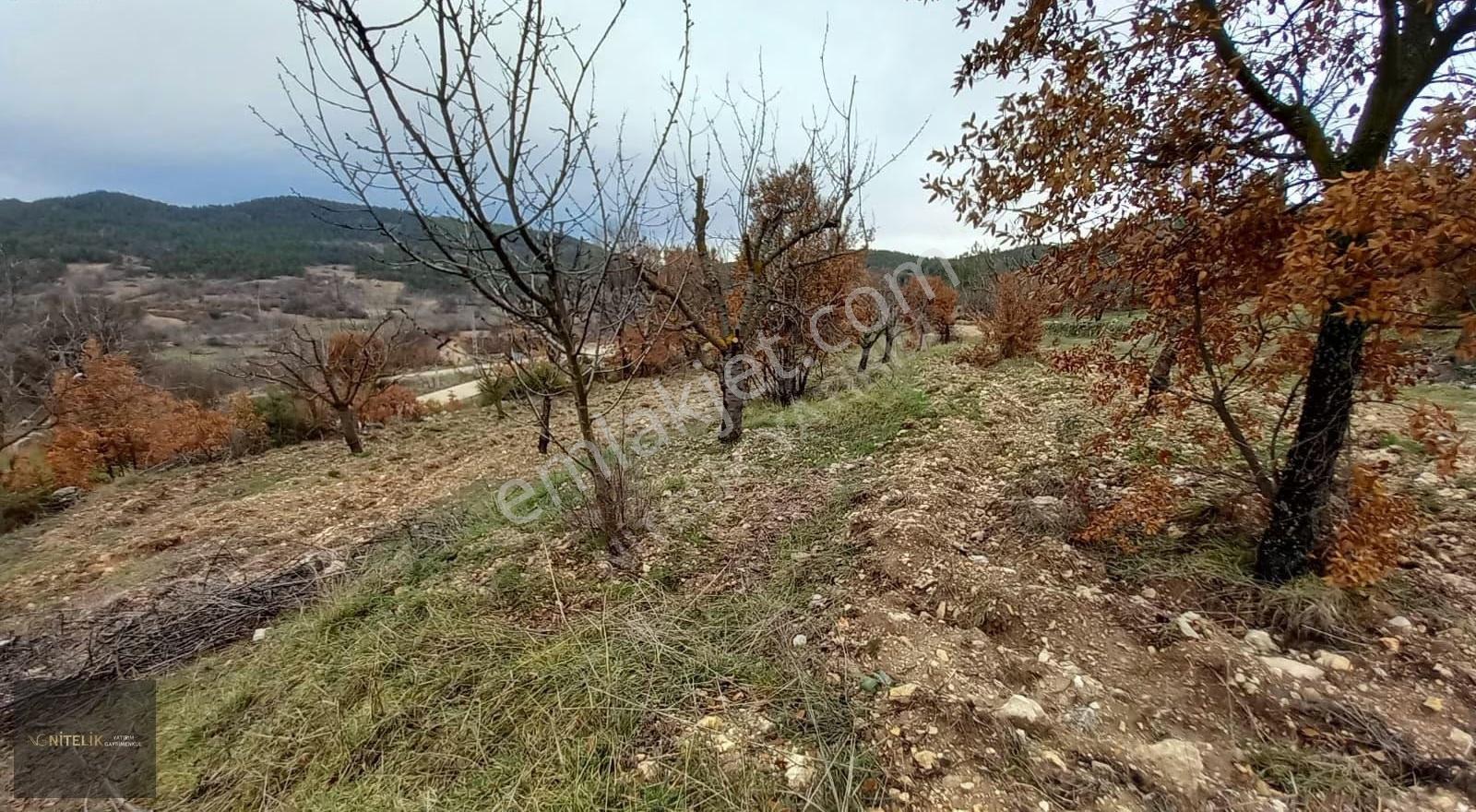 Nitelik'ten Keles Karaardıç Köyünde Satılık Arsa - Görsel 5