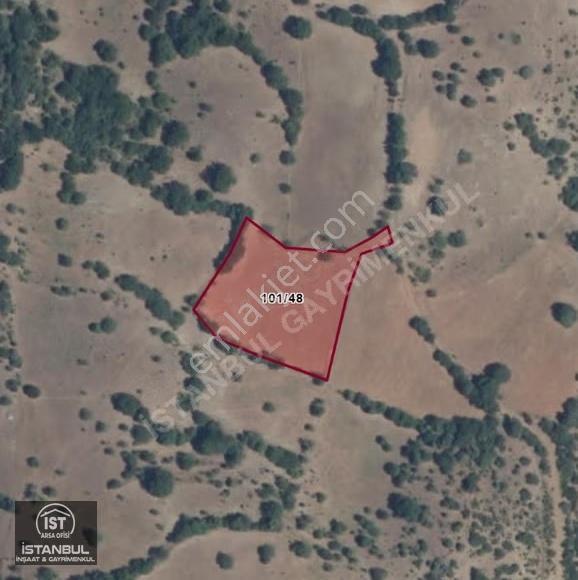 Balıkesir Dursunbey Hondularda Yatırımlık Fırsat: 4.383 M² Tek