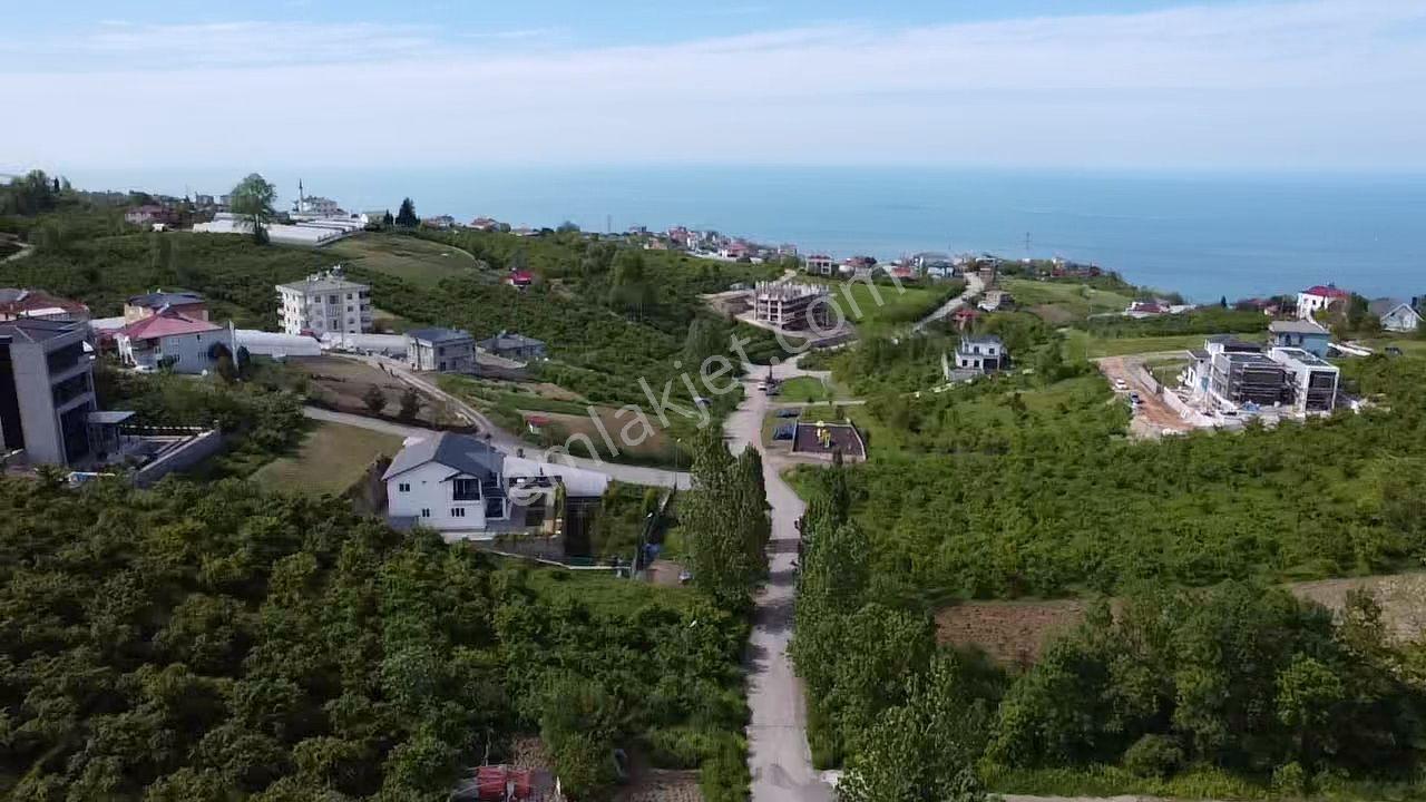 Trabzon Ortahisar Akyazı Mahallesi 804 M² Villa İmarlı Arsa - Görsel 4