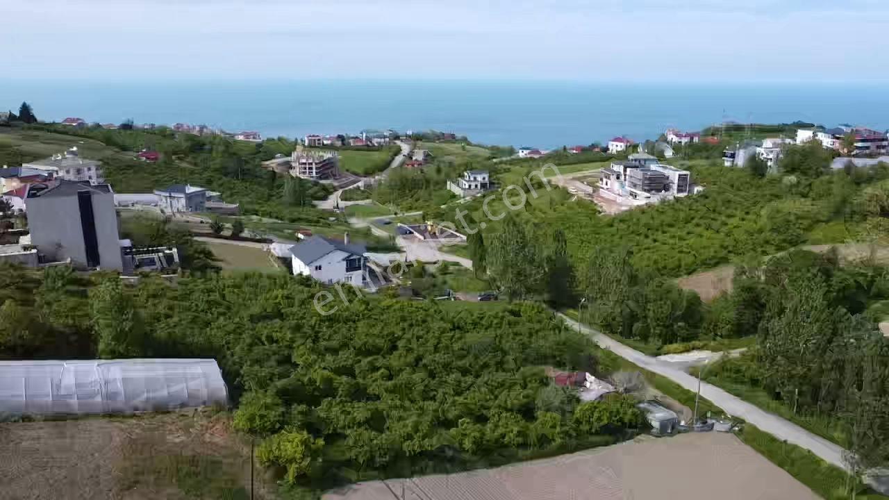 Trabzon Ortahisar Akyazı Mahallesi 804 M² Villa İmarlı Arsa