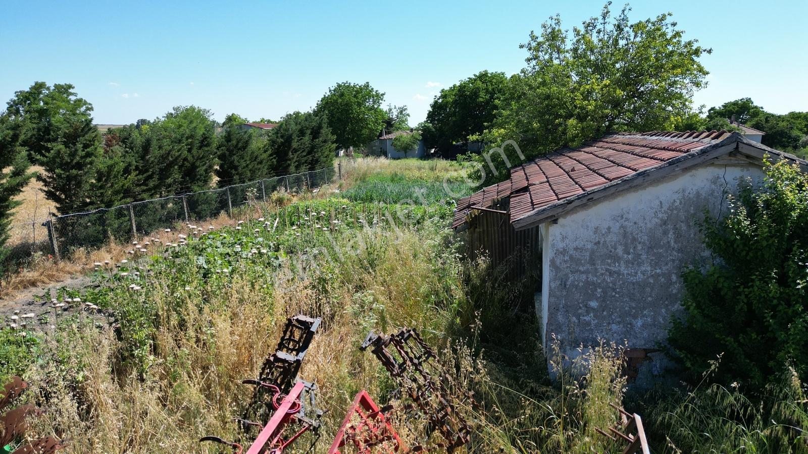 Tekirdağ Saray Servi Köyünde 906 M² Arsa - Görsel 9