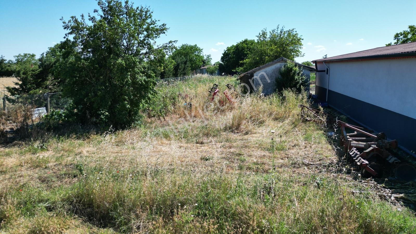Tekirdağ Saray Servi Köyünde 906 M² Arsa - Görsel 8