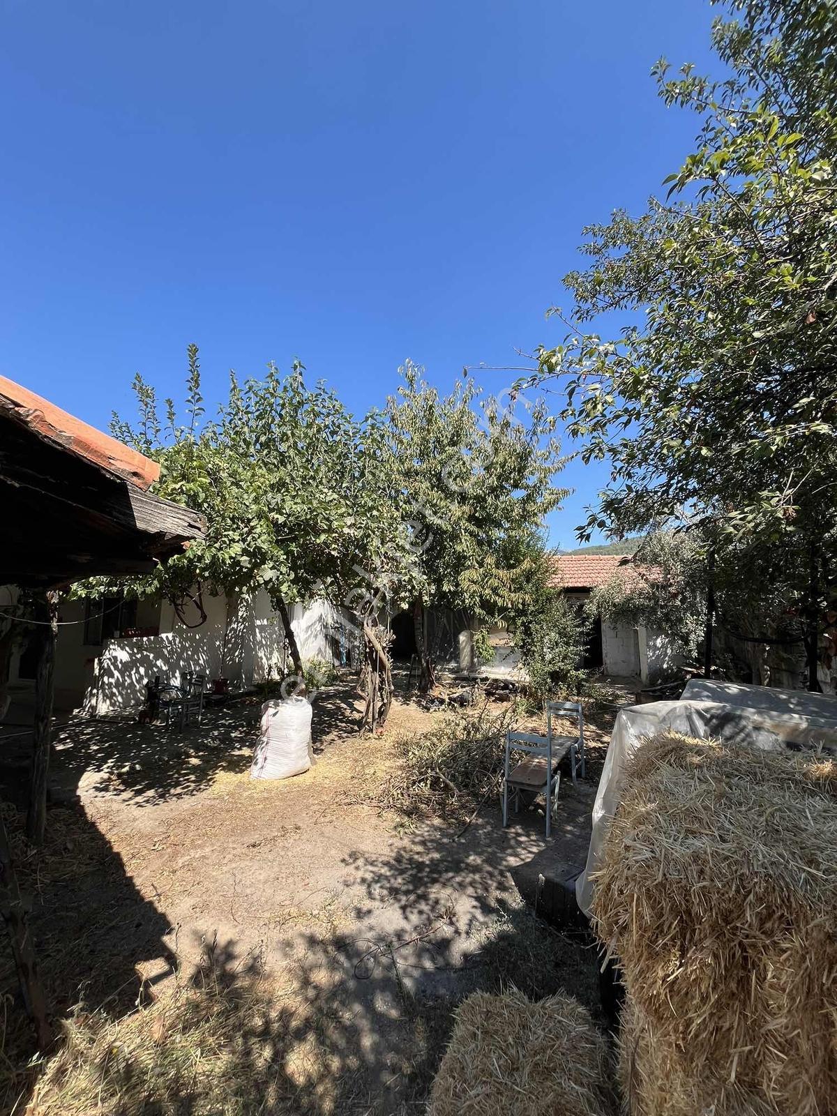 Muğla Cedit Mah. Satılık Taş Ev Ve Arsası - Görsel 7