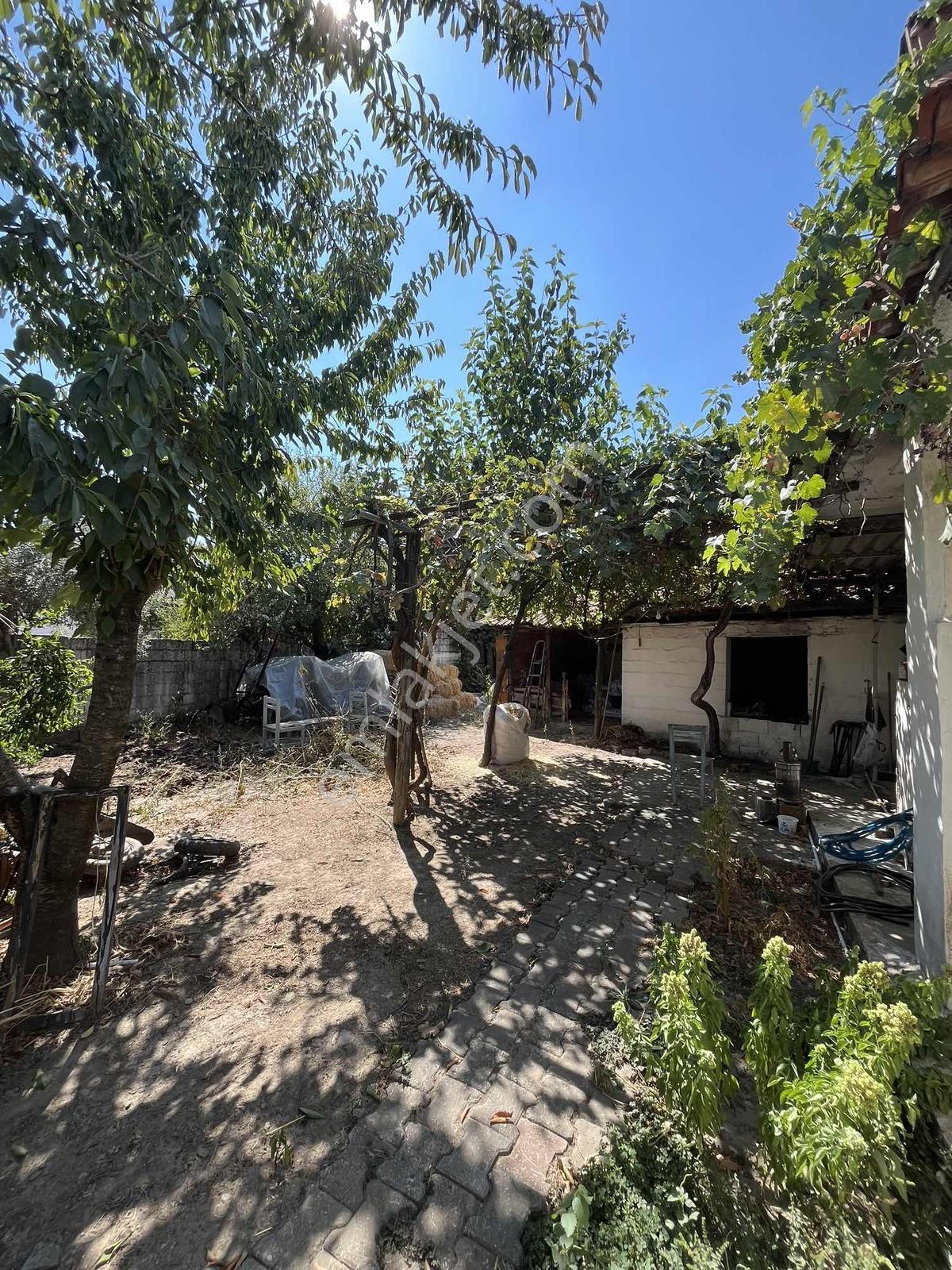 Muğla Cedit Mah. Satılık Taş Ev Ve Arsası - Görsel 25