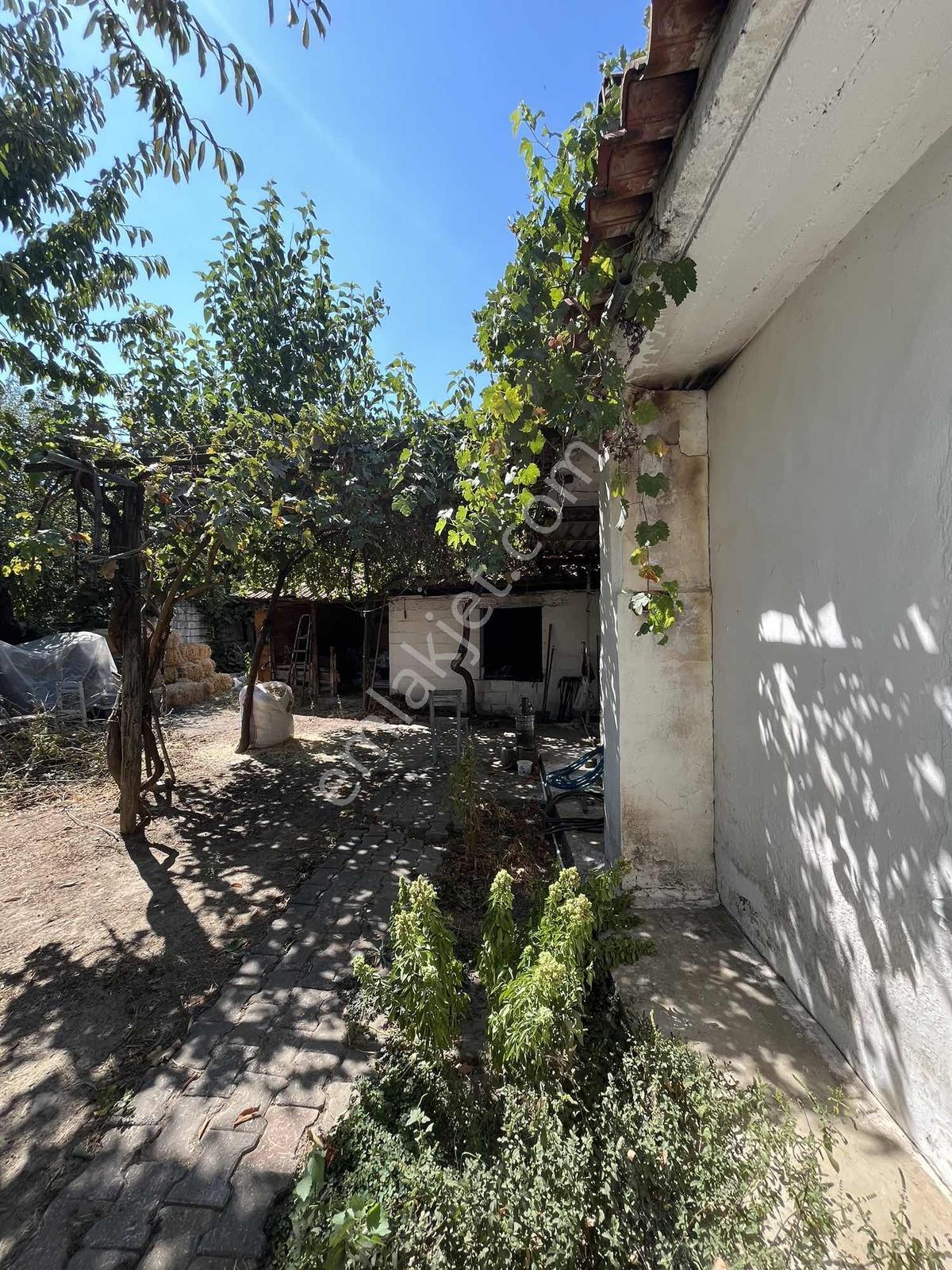 Muğla Cedit Mah. Satılık Taş Ev Ve Arsası - Görsel 9