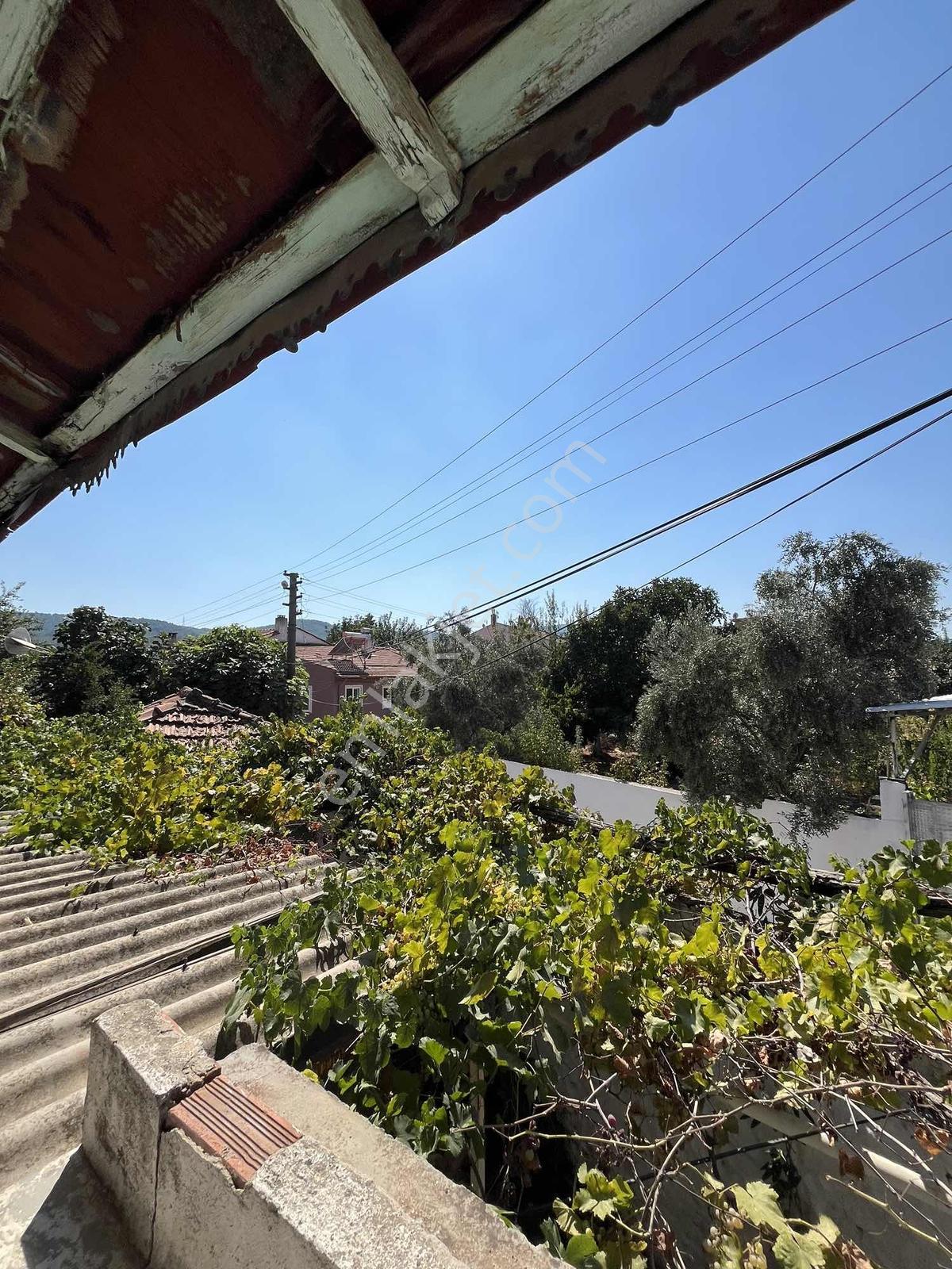 Muğla Cedit Mah. Satılık Taş Ev Ve Arsası - Görsel 28