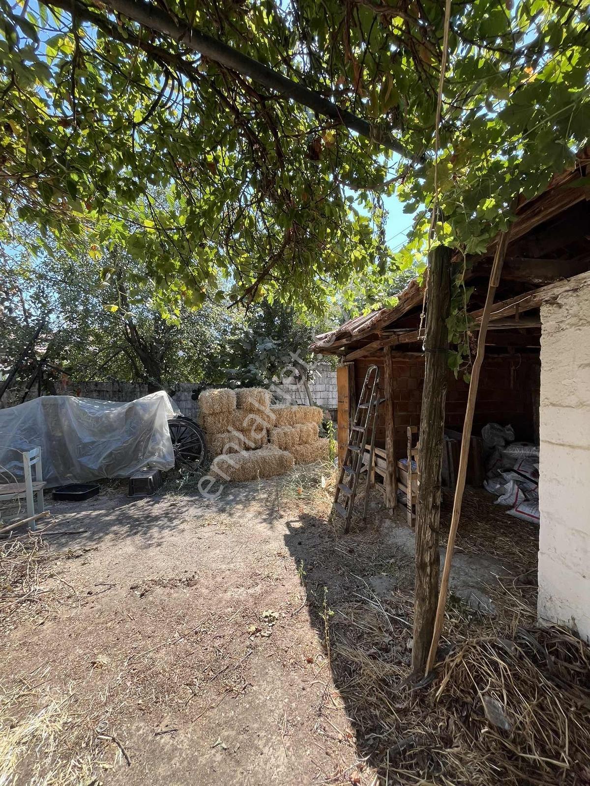 Muğla Cedit Mah. Satılık Taş Ev Ve Arsası - Görsel 20