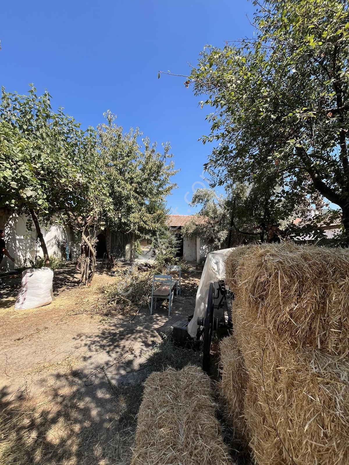 Muğla Cedit Mah. Satılık Taş Ev Ve Arsası - Görsel 6