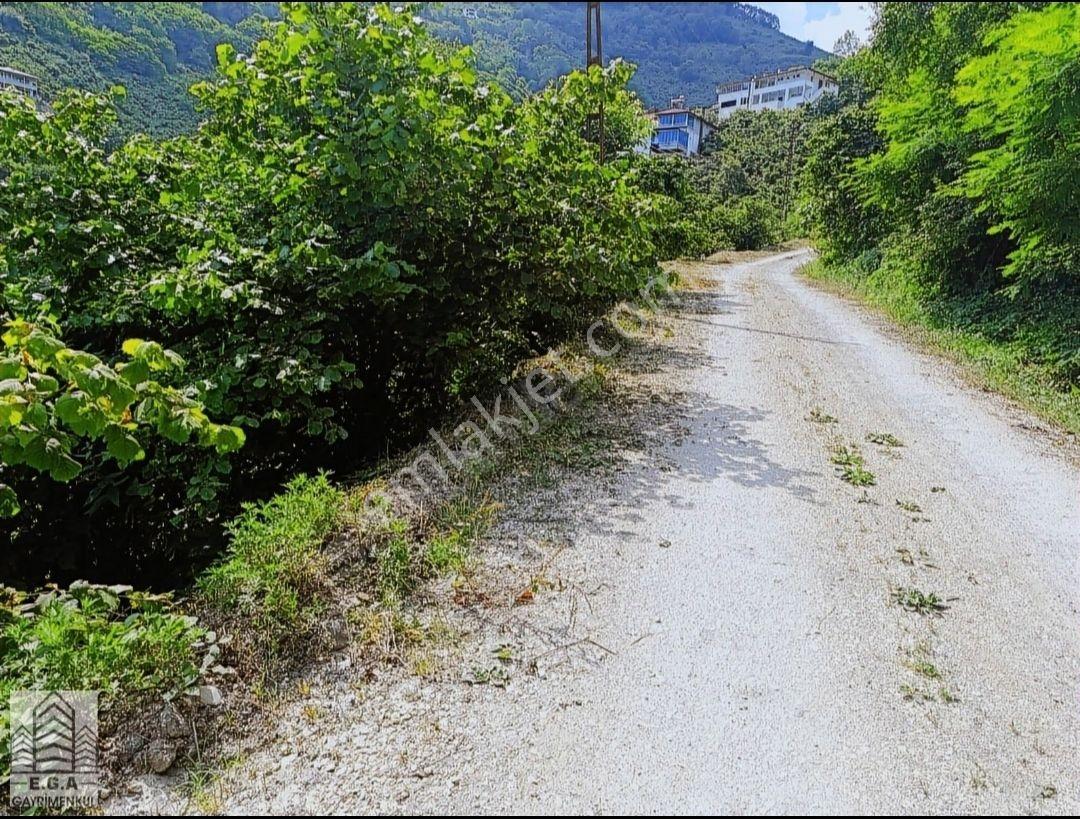E.g.a Dan Kumbaşı Sahile Yakın Deniz Gören 3.300m2 Bahçe - Görsel 6