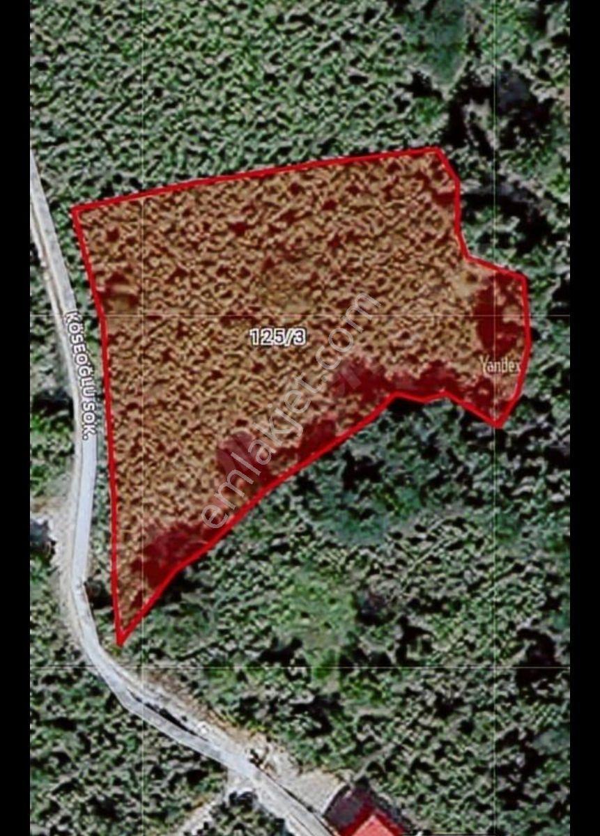 E.g.a Dan Kumbaşı Sahile Yakın Deniz Gören 3.300m2 Bahçe - Görsel 8