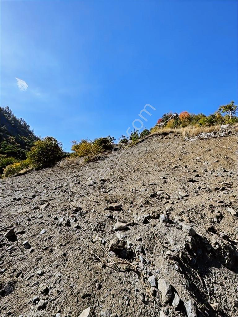 Bolkar'dan Kavaklıpınar'da 1973 M²satılık Muhteşem Konumlu Arazi - Görsel 5