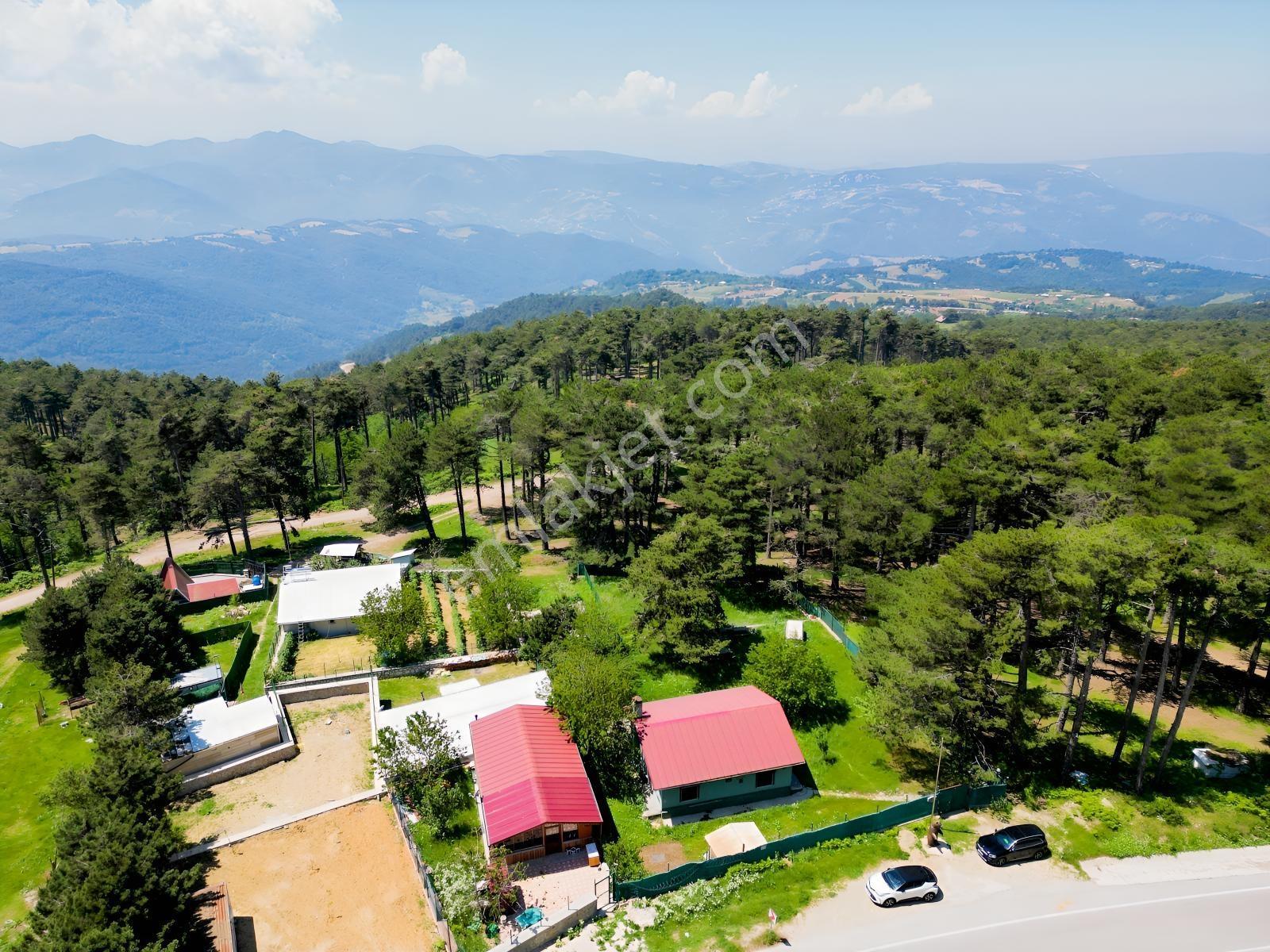 Bursa, Uludağ Yolu Üzeri Kirazlı'da Satılık Dağ Evi - Görsel 22