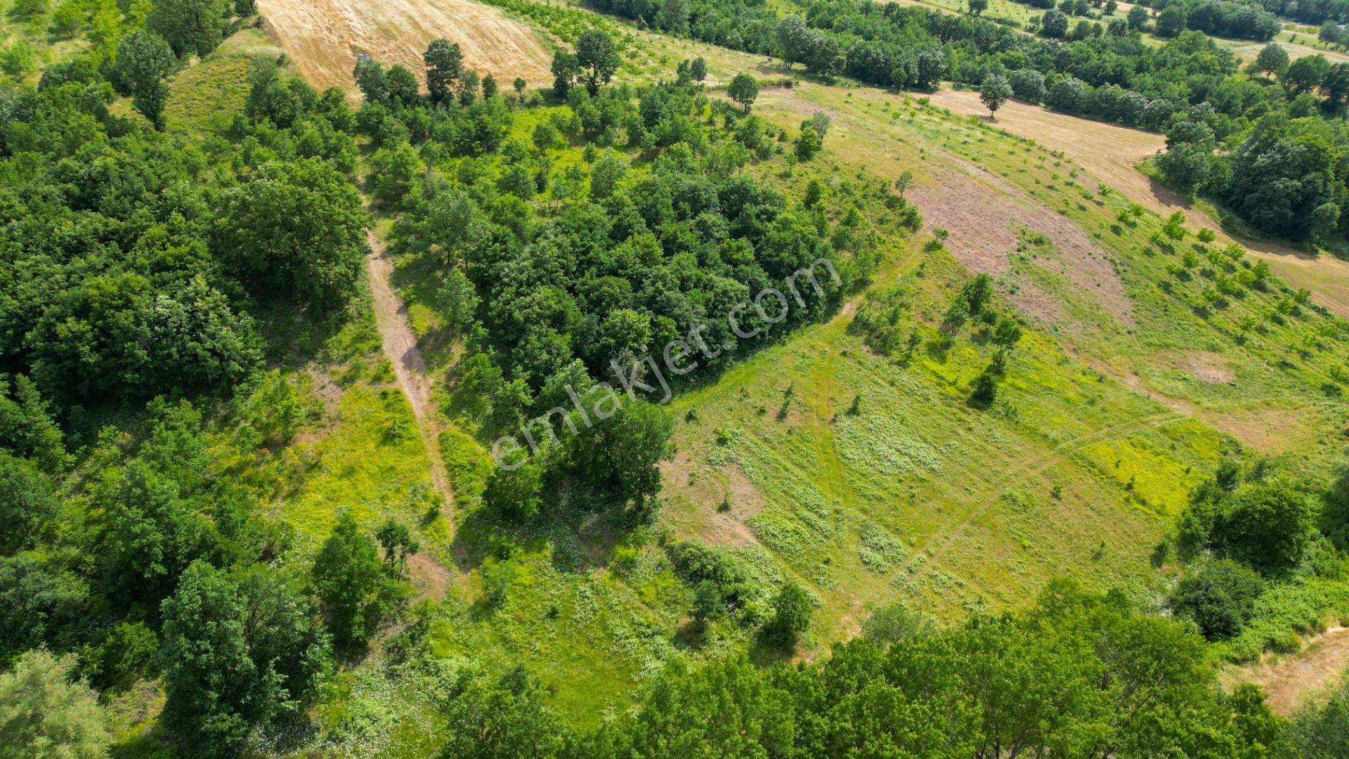 Kocaeli Karamürsel Çamdibi %5 İmarlı 6506 M2 Satılık Tarla - Görsel 16