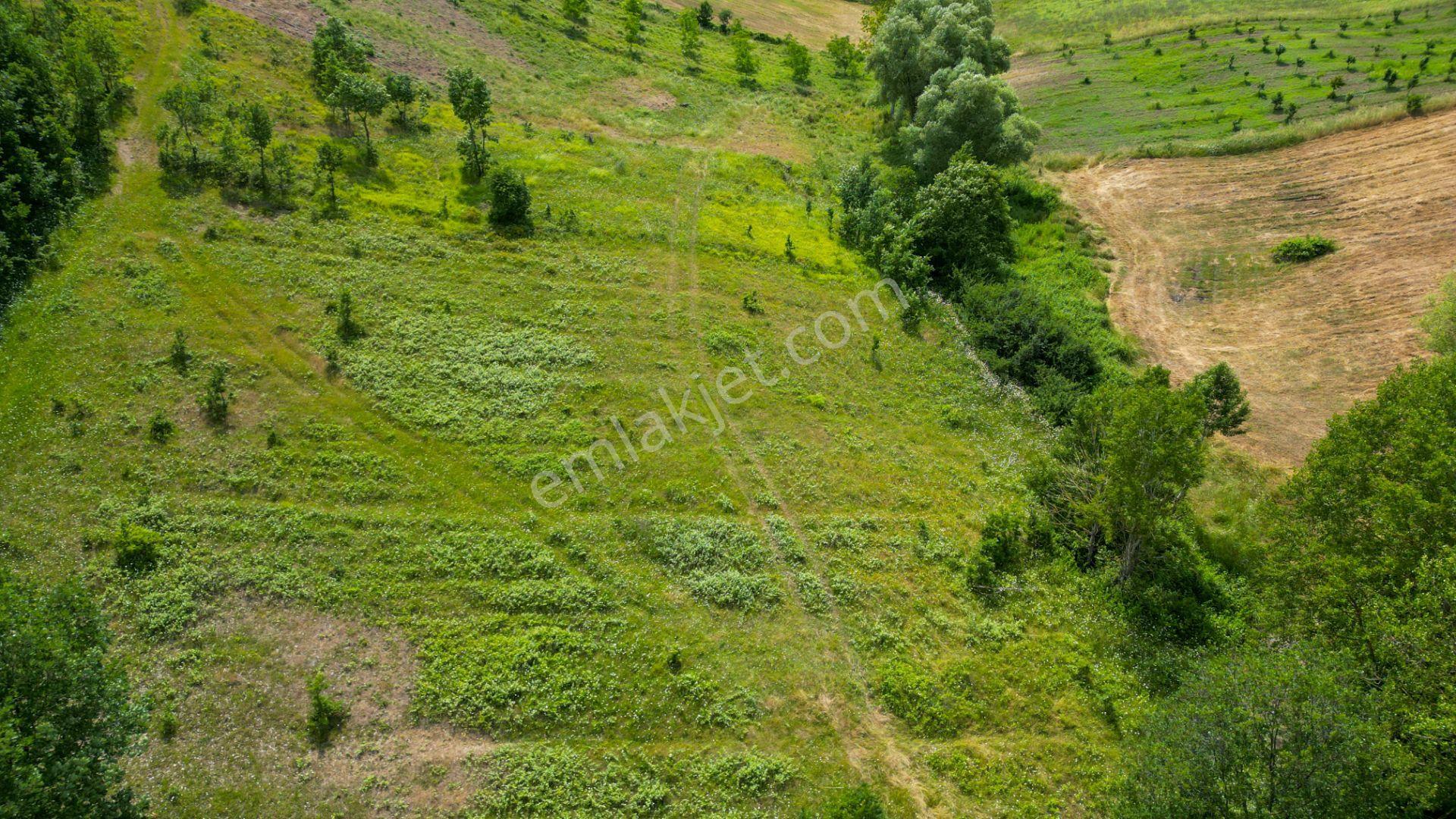 Kocaeli Karamürsel Çamdibi %5 İmarlı 6506 M2 Satılık Tarla - Görsel 11