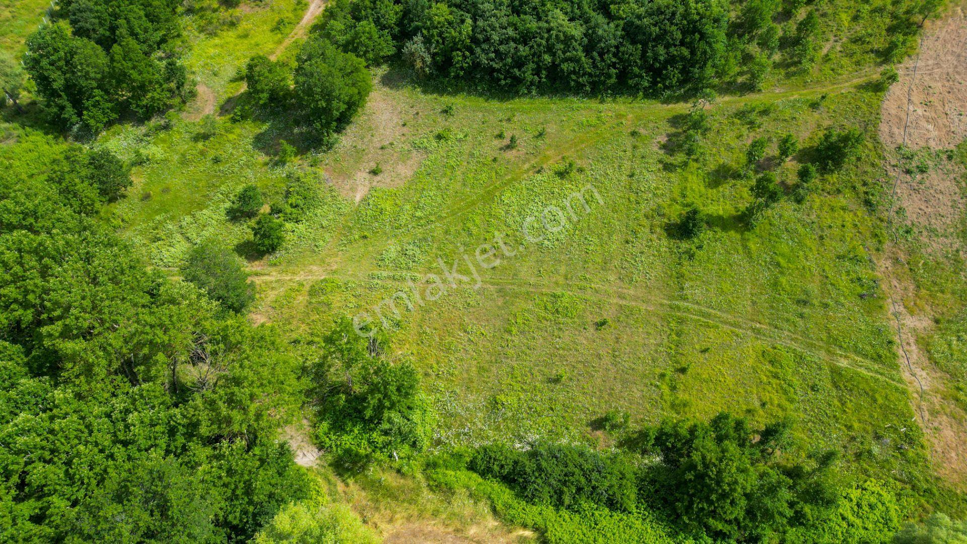 Kocaeli Karamürsel Çamdibi %5 İmarlı 6506 M2 Satılık Tarla - Görsel 3