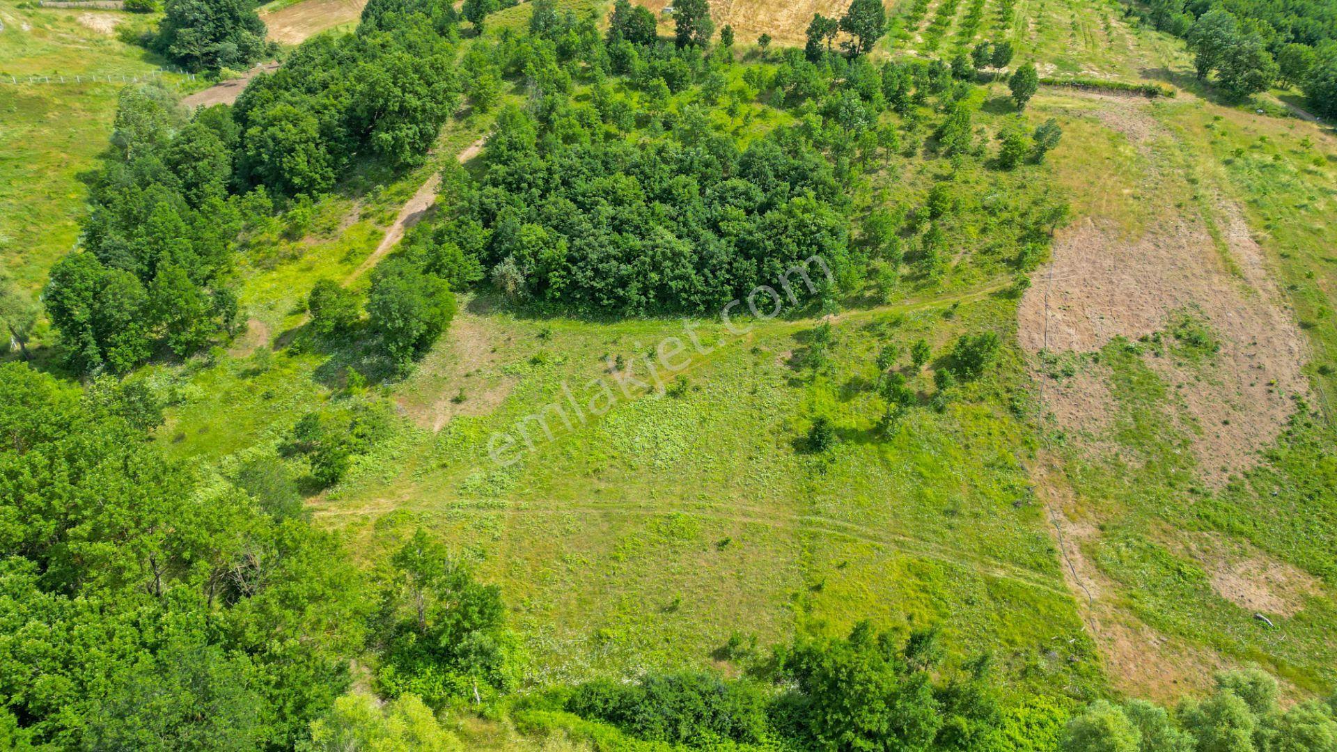 Kocaeli Karamürsel Çamdibi %5 İmarlı 6506 M2 Satılık Tarla - Görsel 9