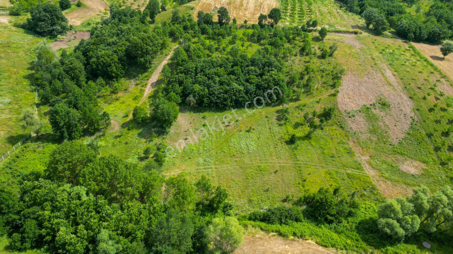 Kocaeli Karamürsel Çamdibi %5 İmarlı 6506 M2 Satılık Tarla - Görsel 8