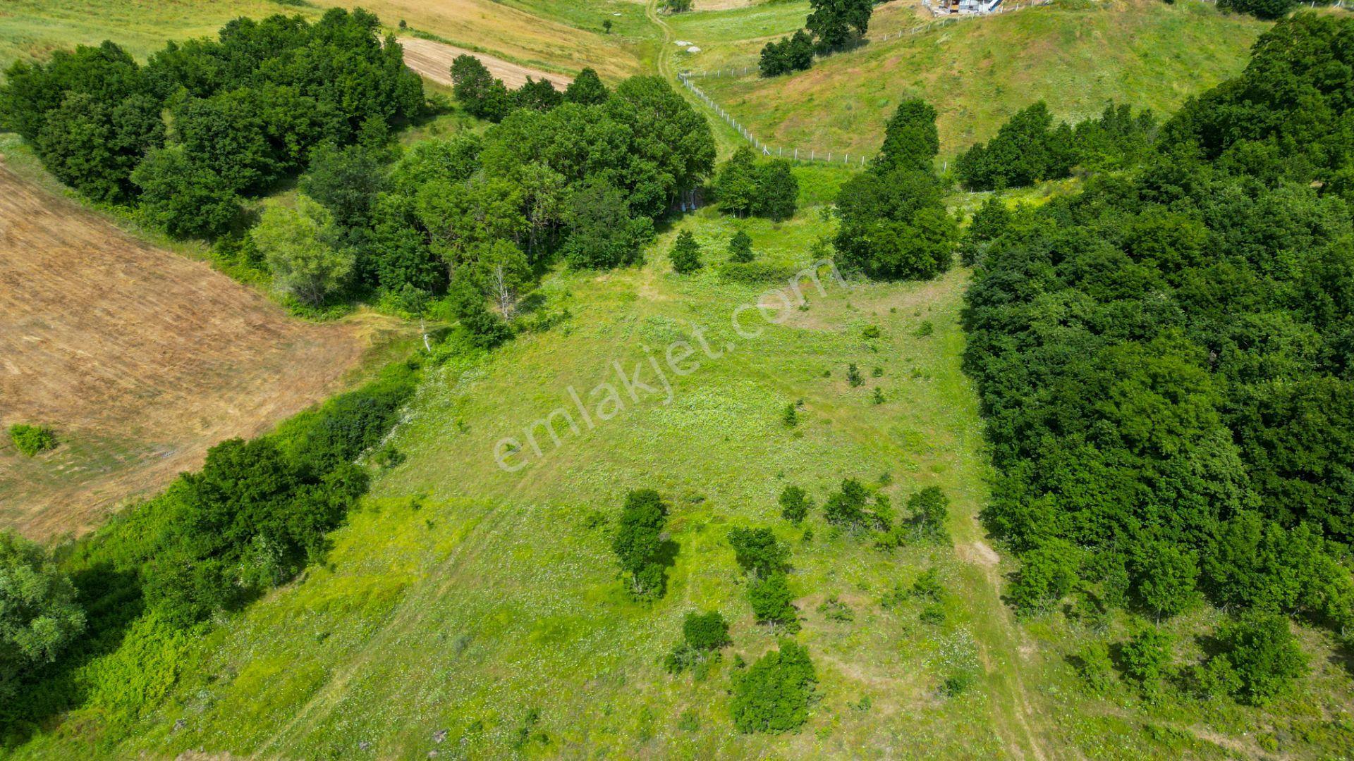 Kocaeli Karamürsel Çamdibi %5 İmarlı 6506 M2 Satılık Tarla - Görsel 10