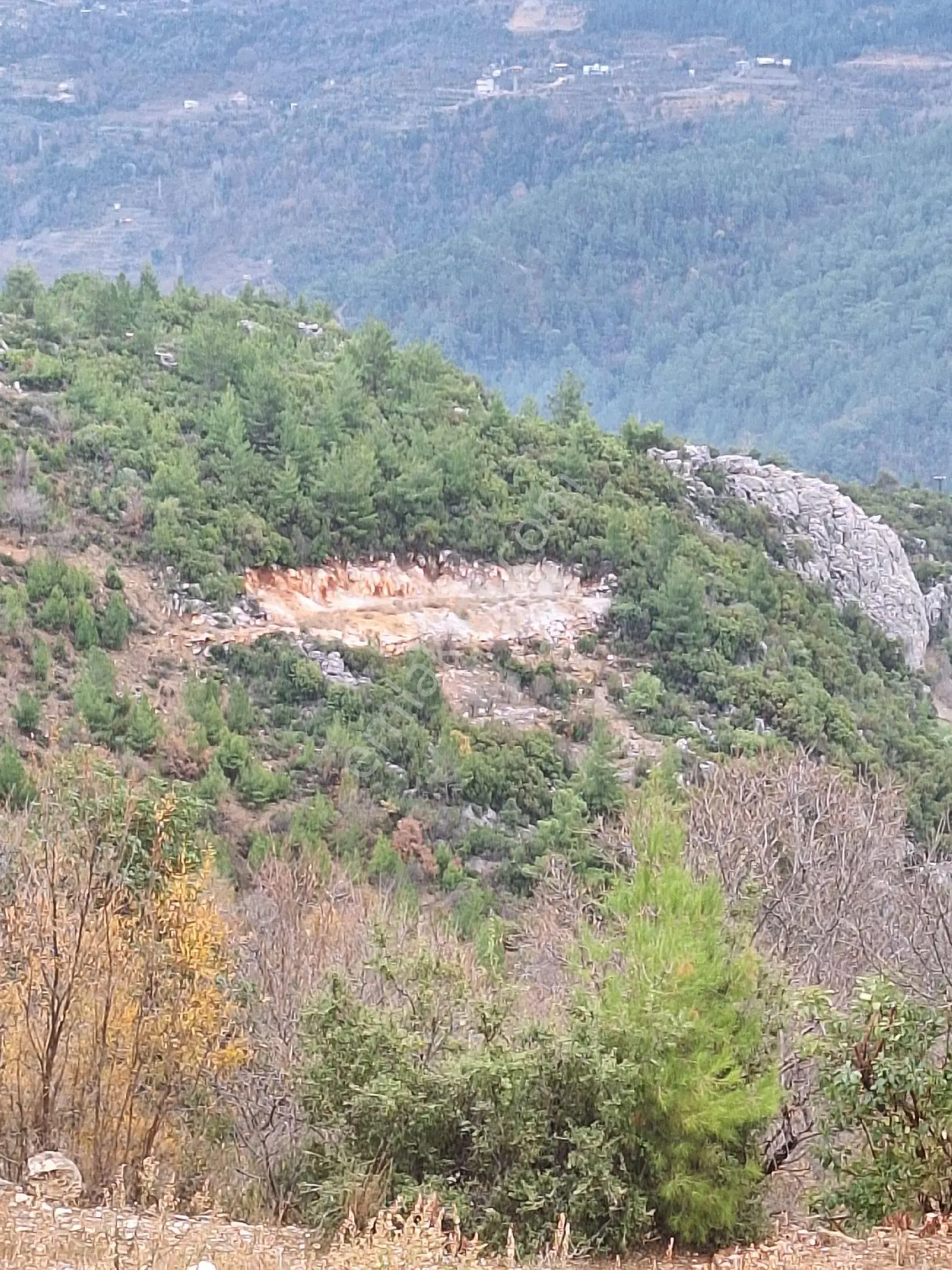 Satılık Tarla - Alanya Yenice Mahallesi