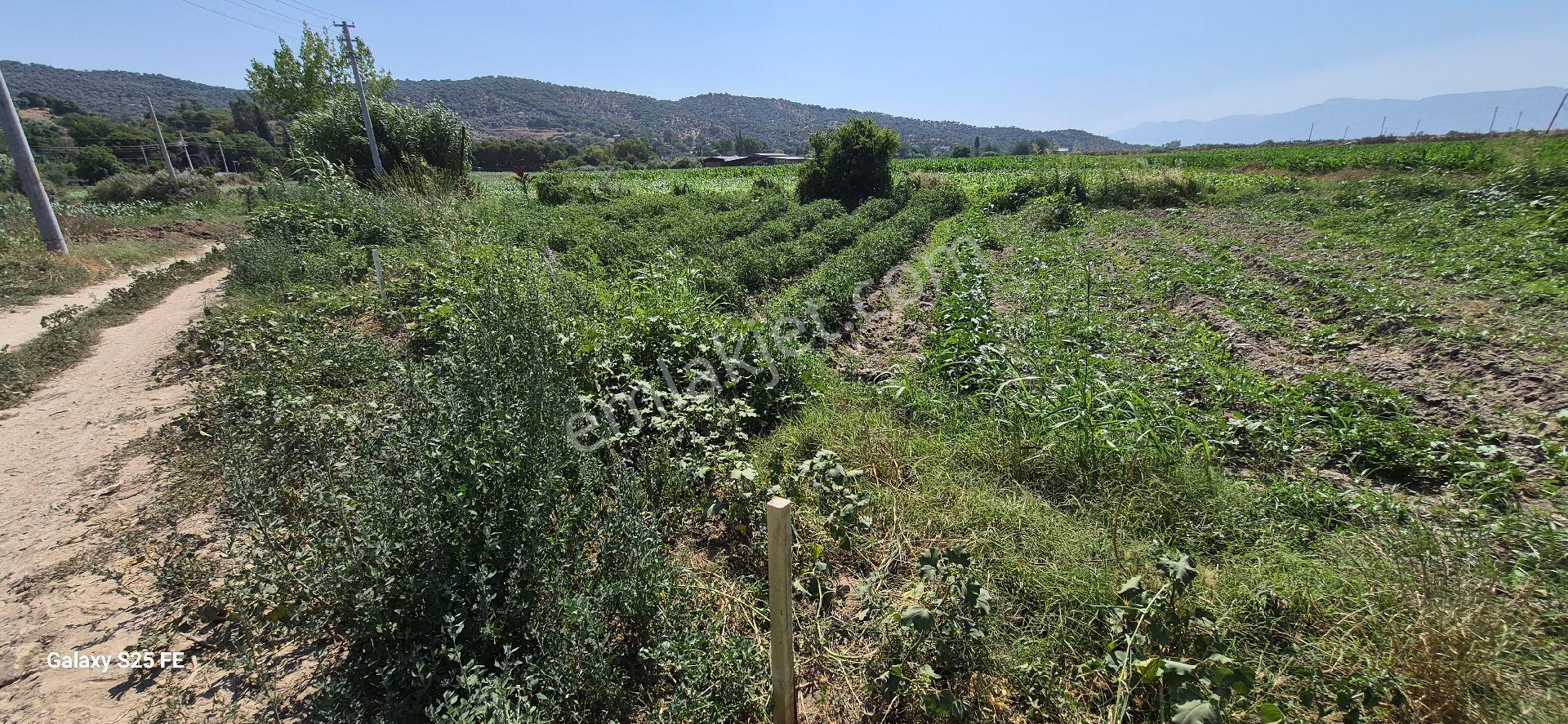 Satılık Arsa Kusadasına 35 Km - Görsel 6