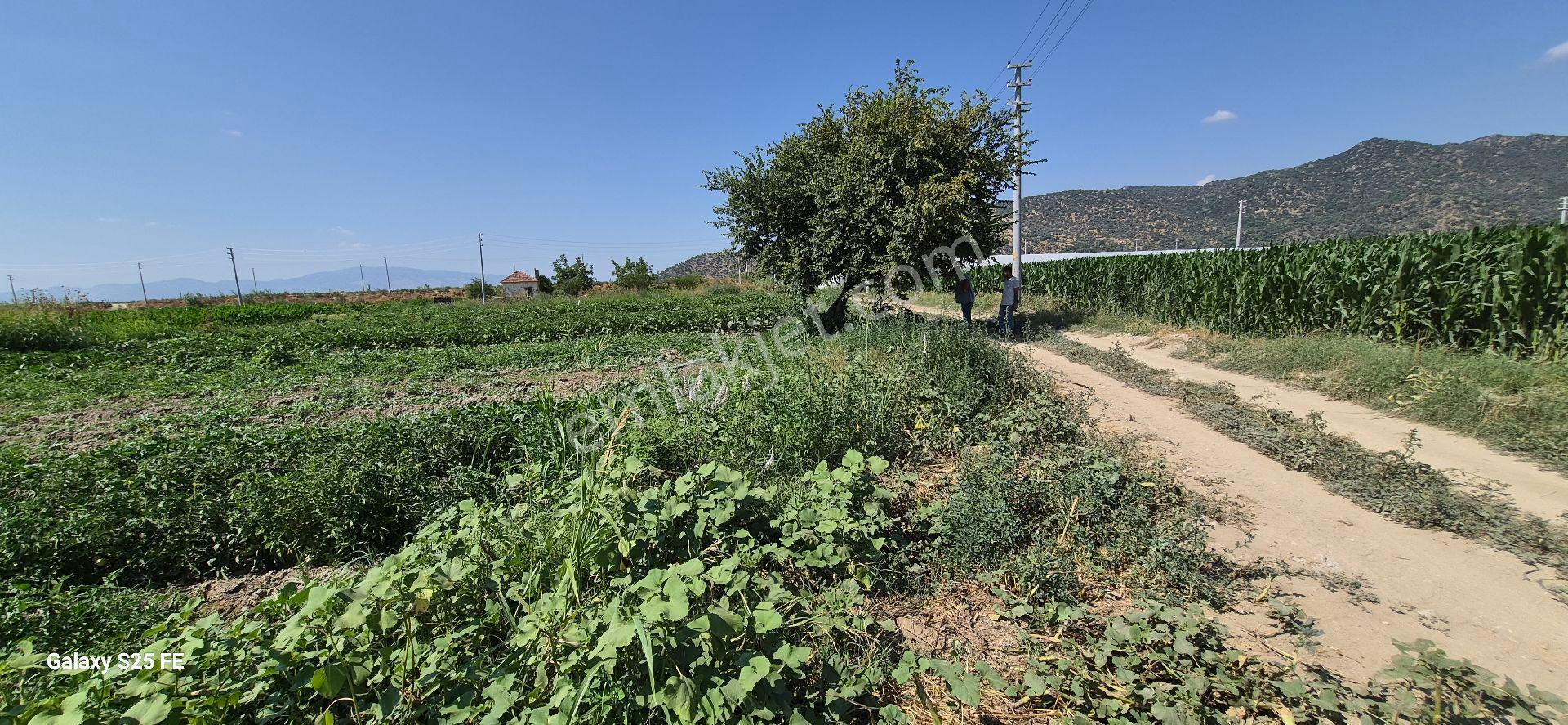 Satılık Arsa Kusadasına 35 Km - Görsel 8