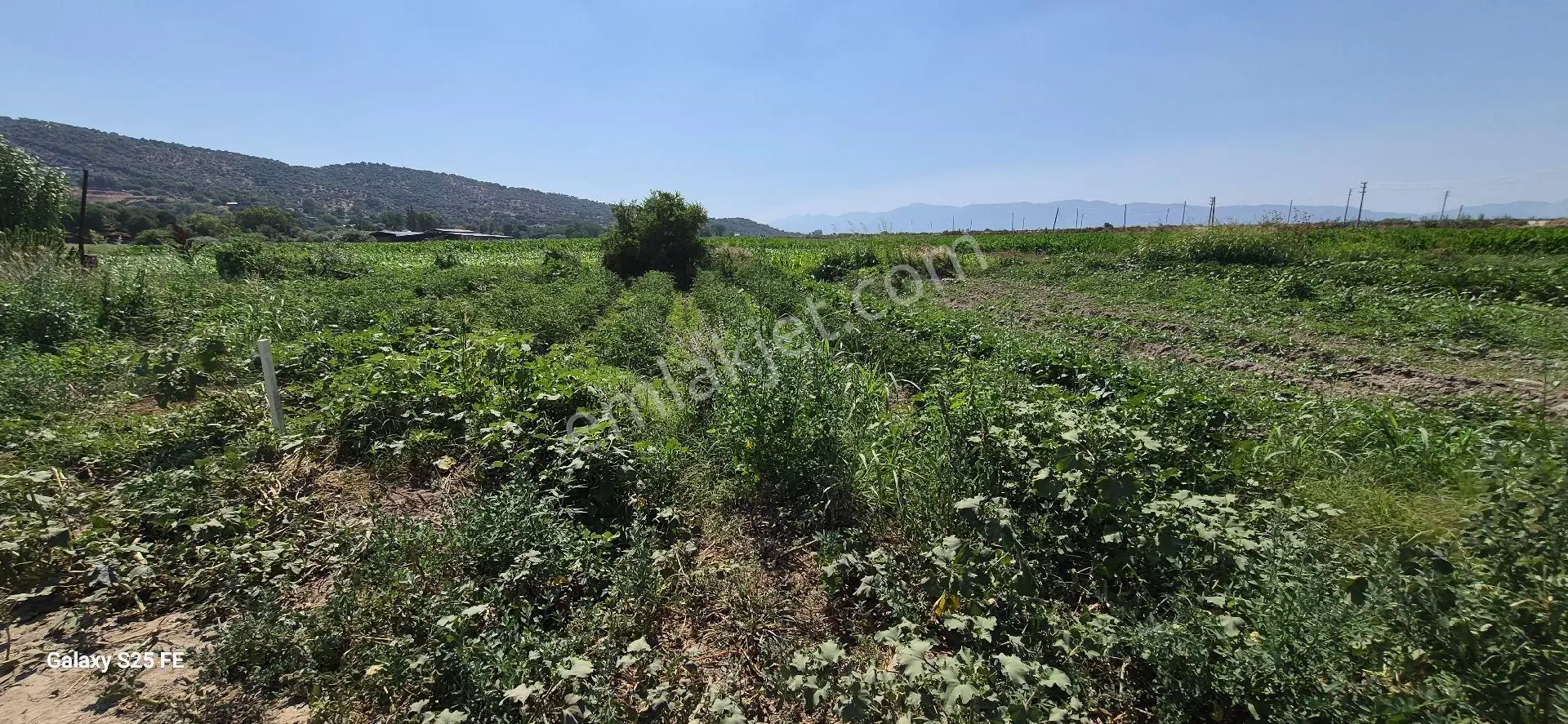 Satılık Arsa Kusadasına 35 Km - Görsel 5