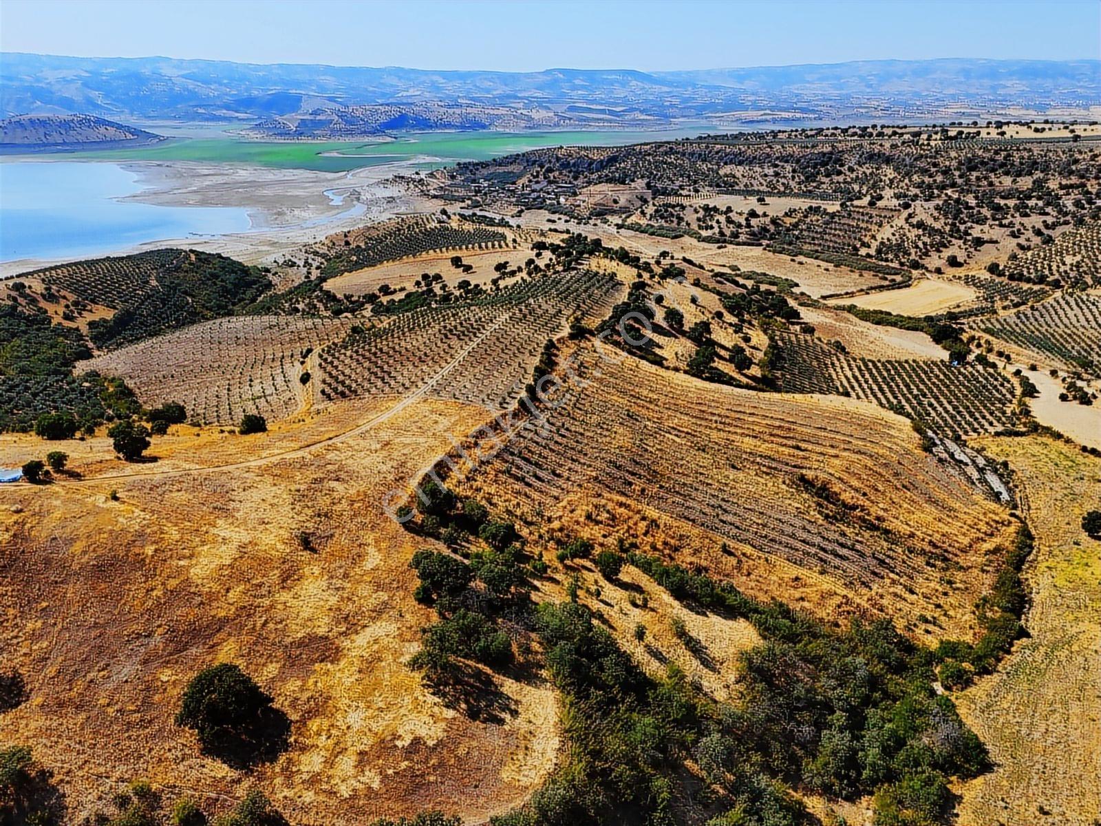 Salihli Hacıköseli'de Satılık 13690 M2 Tarla (video) - Görsel 2