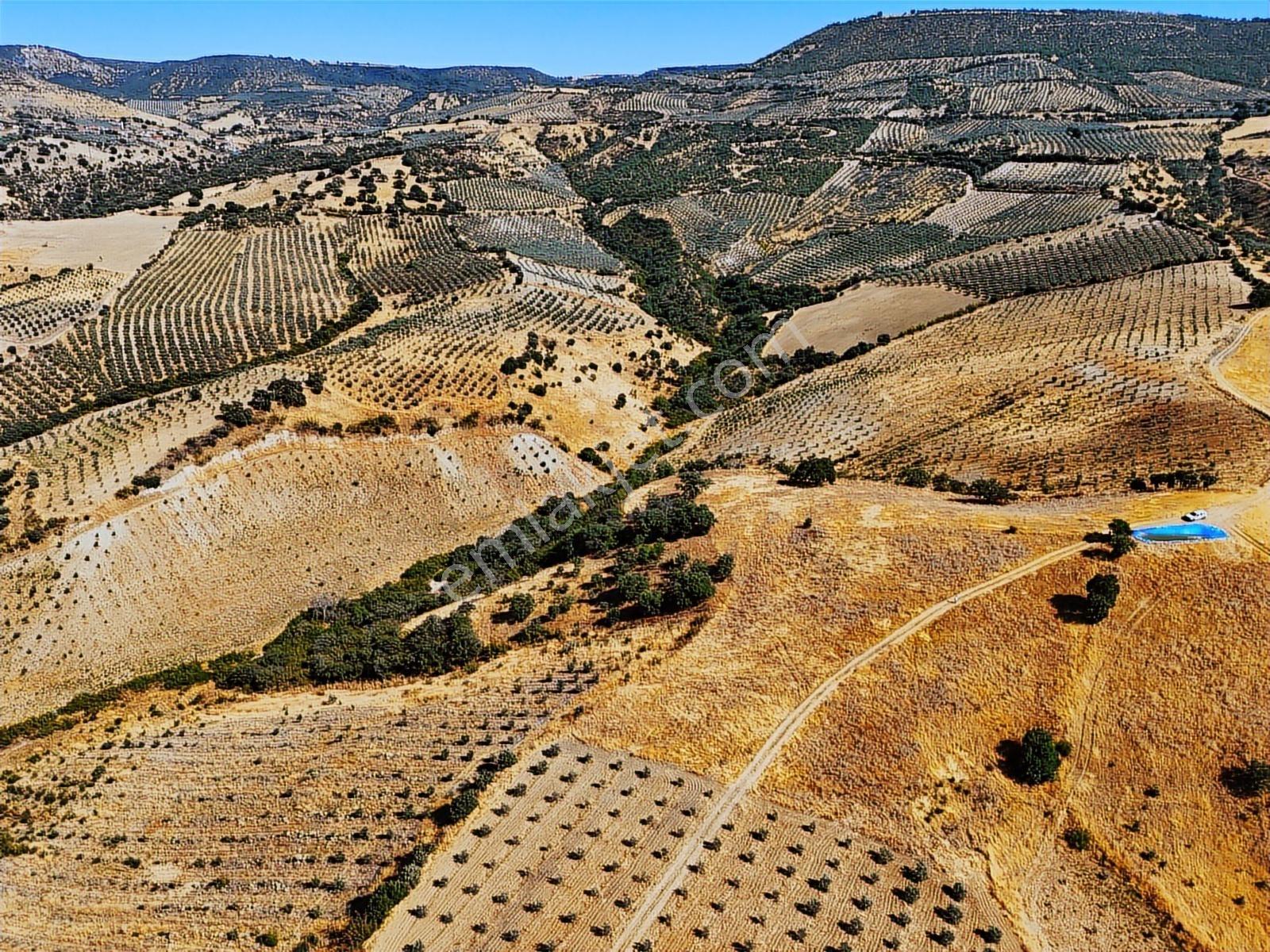 Salihli Hacıköseli'de Satılık 13690 M2 Tarla (video) - Görsel 17