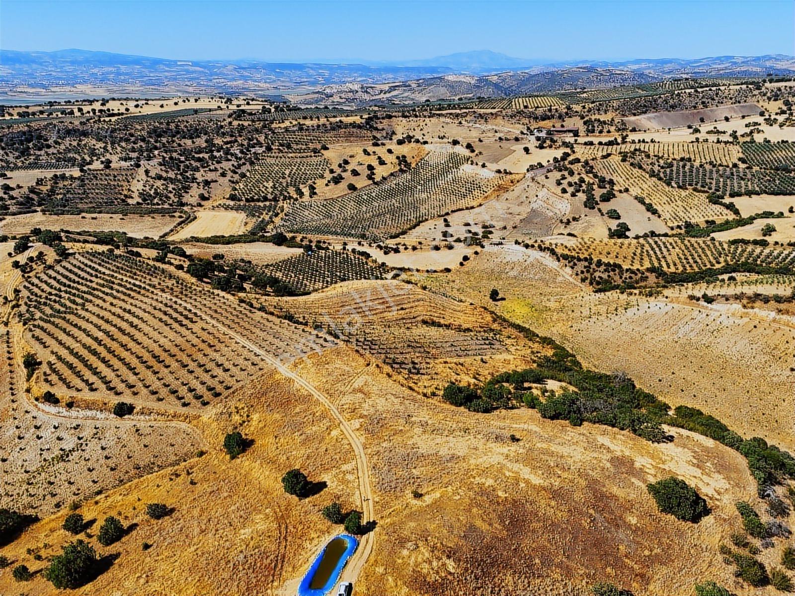 Salihli Hacıköseli'de Satılık 13690 M2 Tarla (video) - Görsel 23