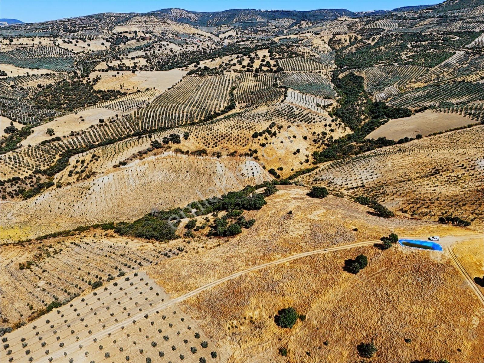 Salihli Hacıköseli'de Satılık 13690 M2 Tarla (video) - Görsel 22