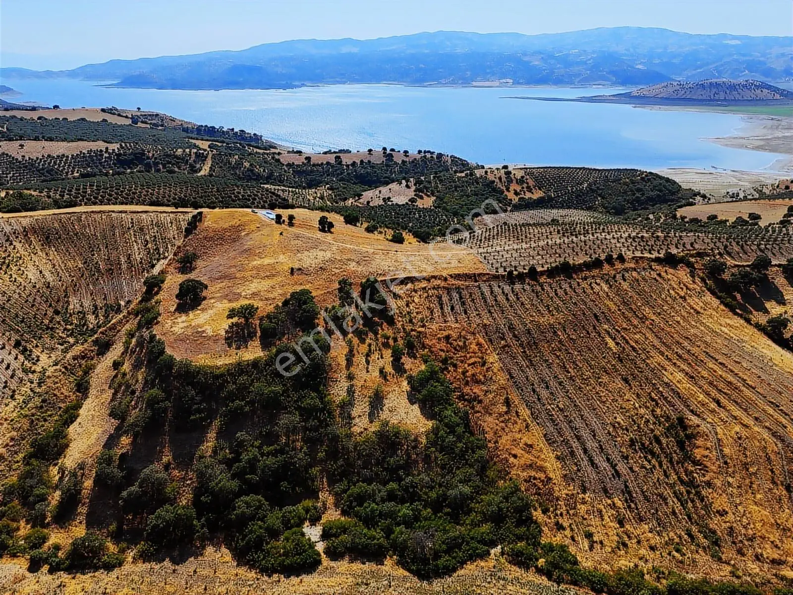 Salihli Hacıköseli'de Satılık 13690 M2 Tarla (video) - Görsel 5